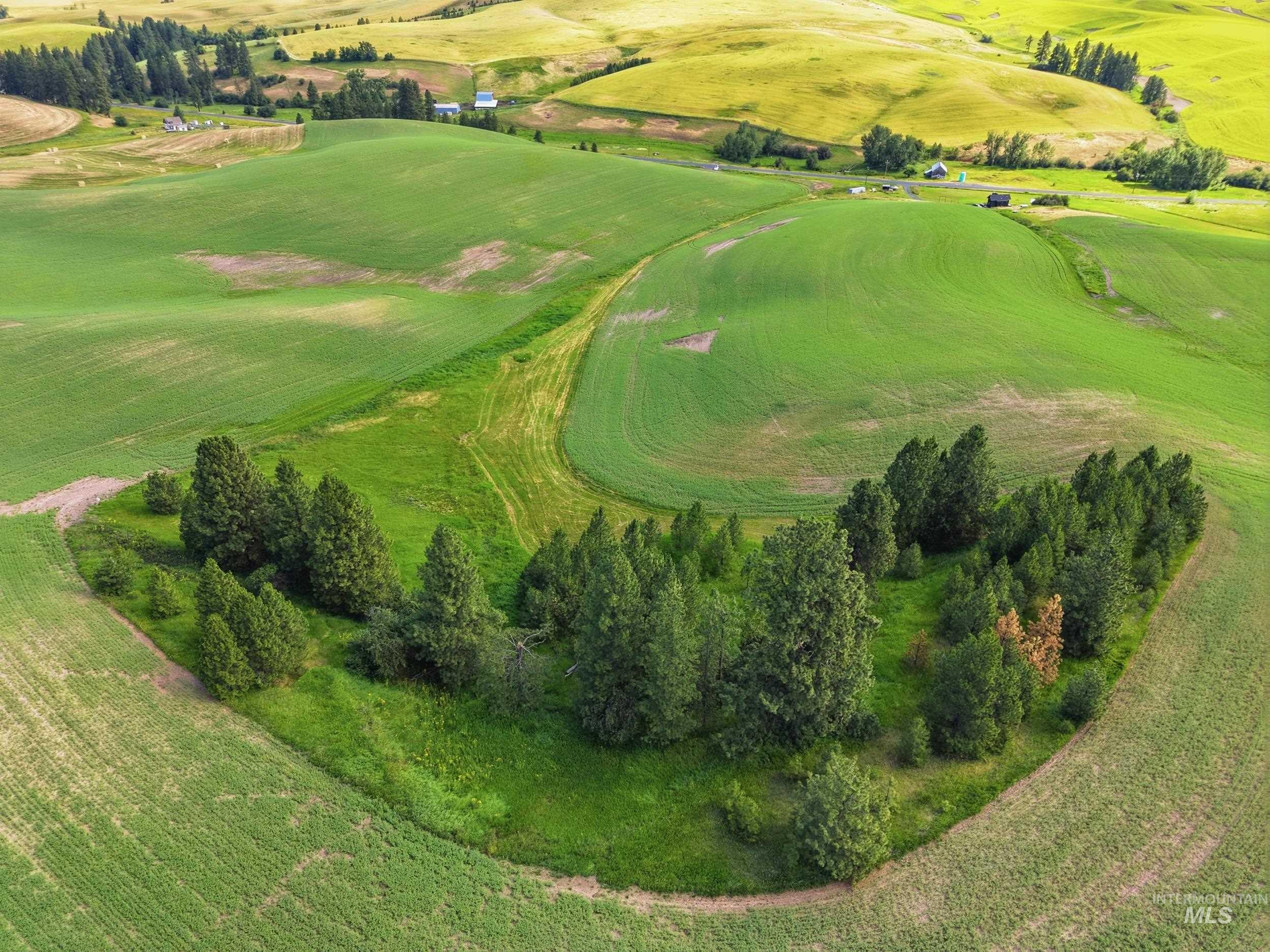 TBD Lenville Road, Moscow, Idaho 83843, Land For Sale, Price $284,900, 98995196