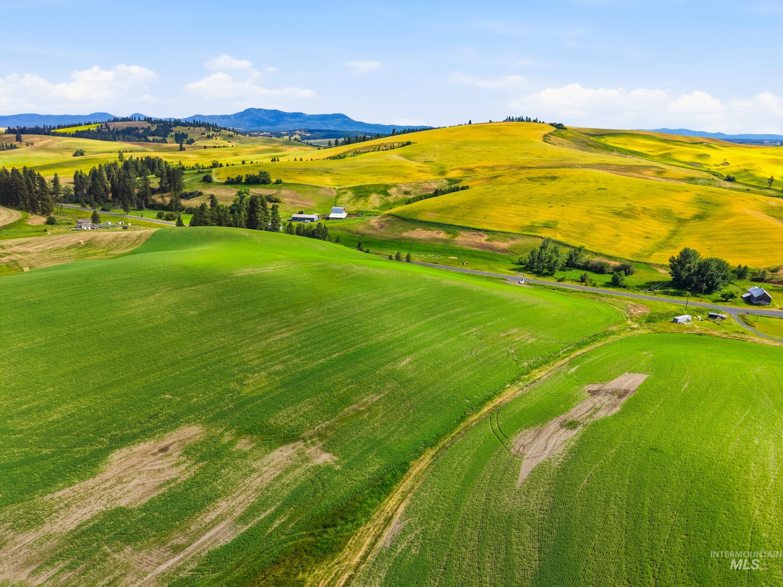 TBD Lenville Road, Moscow, Idaho 83843, Land For Sale, Price $284,900, 98995196