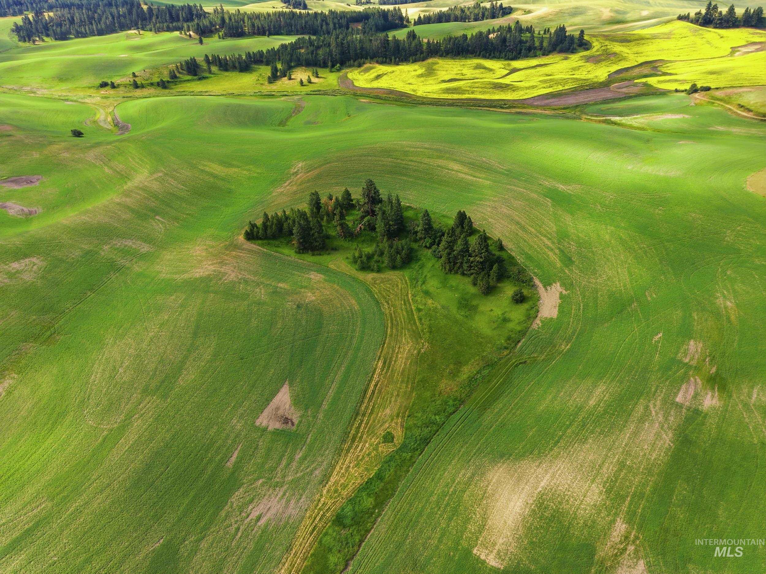 TBD Lenville Road, Moscow, Idaho 83843, Land For Sale, Price $284,900, 98995196
