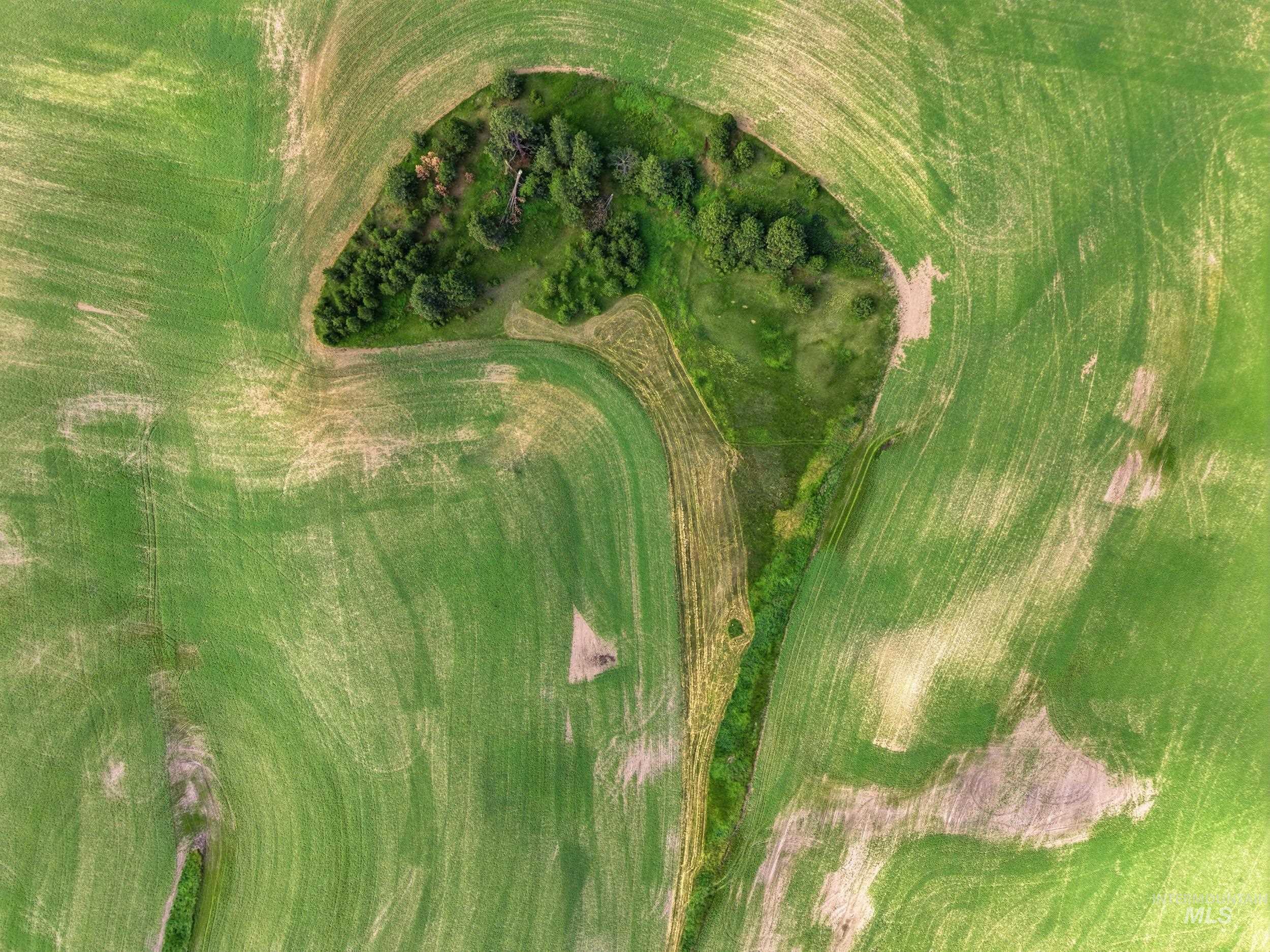 TBD Lenville Road, Moscow, Idaho 83843, Land For Sale, Price $284,900, 98995196