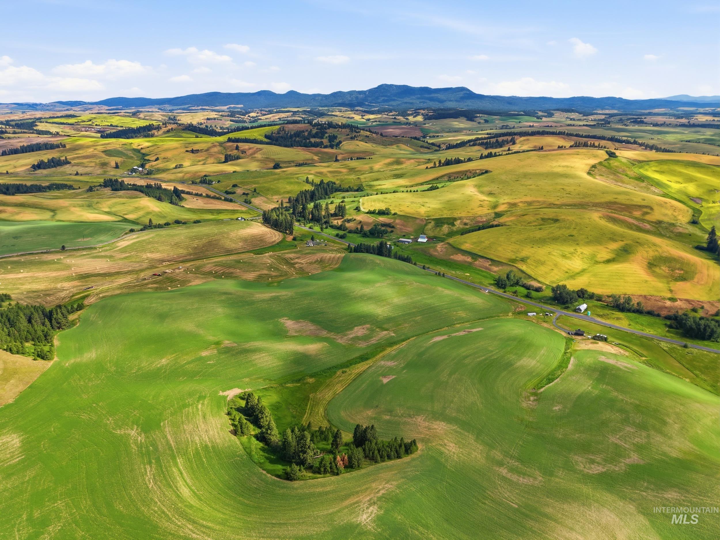 TBD Lenville Road, Moscow, Idaho 83843, Land For Sale, Price $284,900, 98995196