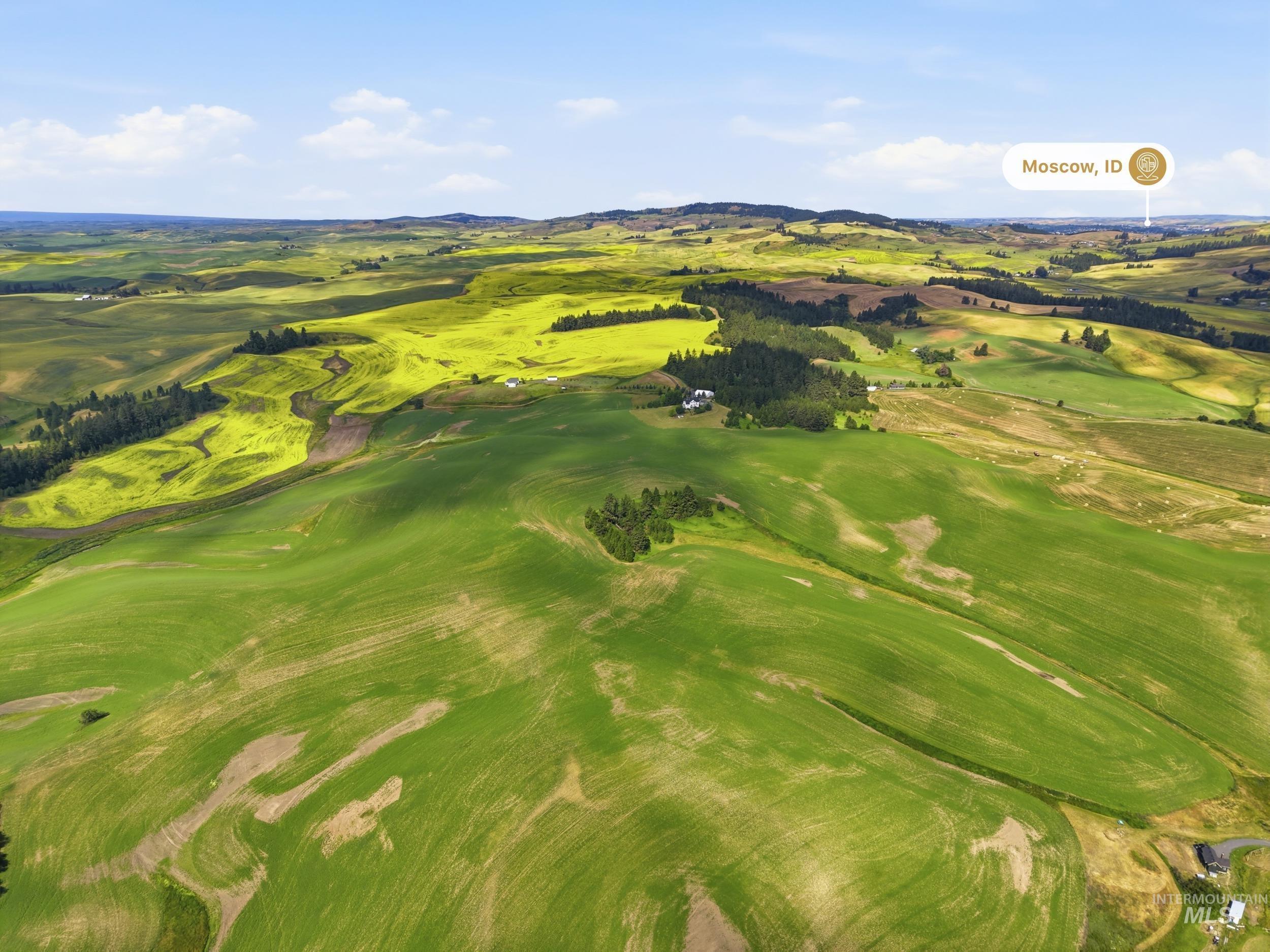 TBD Lenville Road, Moscow, Idaho 83843, Land For Sale, Price $284,900, 98995196