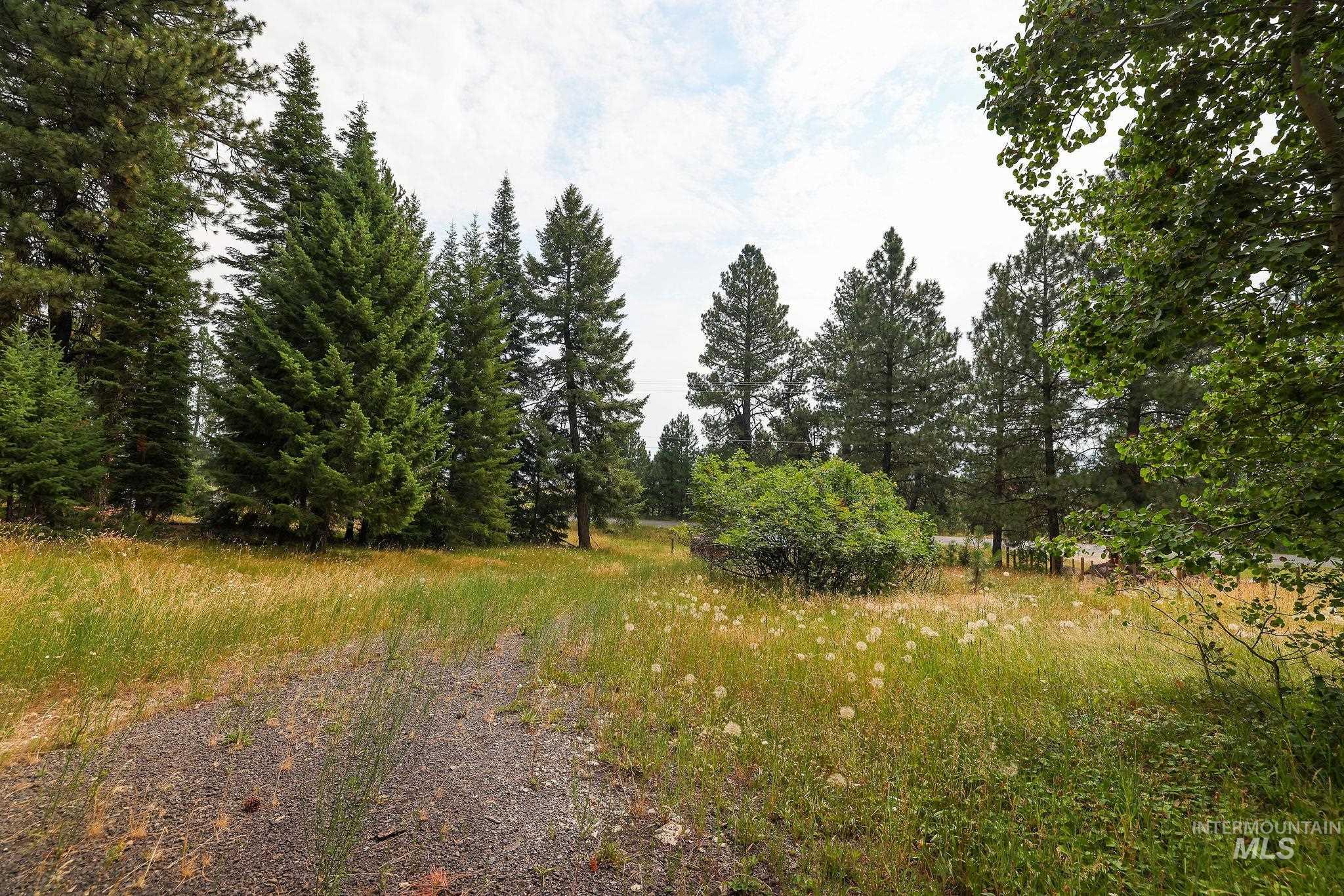 2165 West Mountain Rd, Donnelly, Idaho 83615, Land For Sale, Price $359,000,MLS 98995213