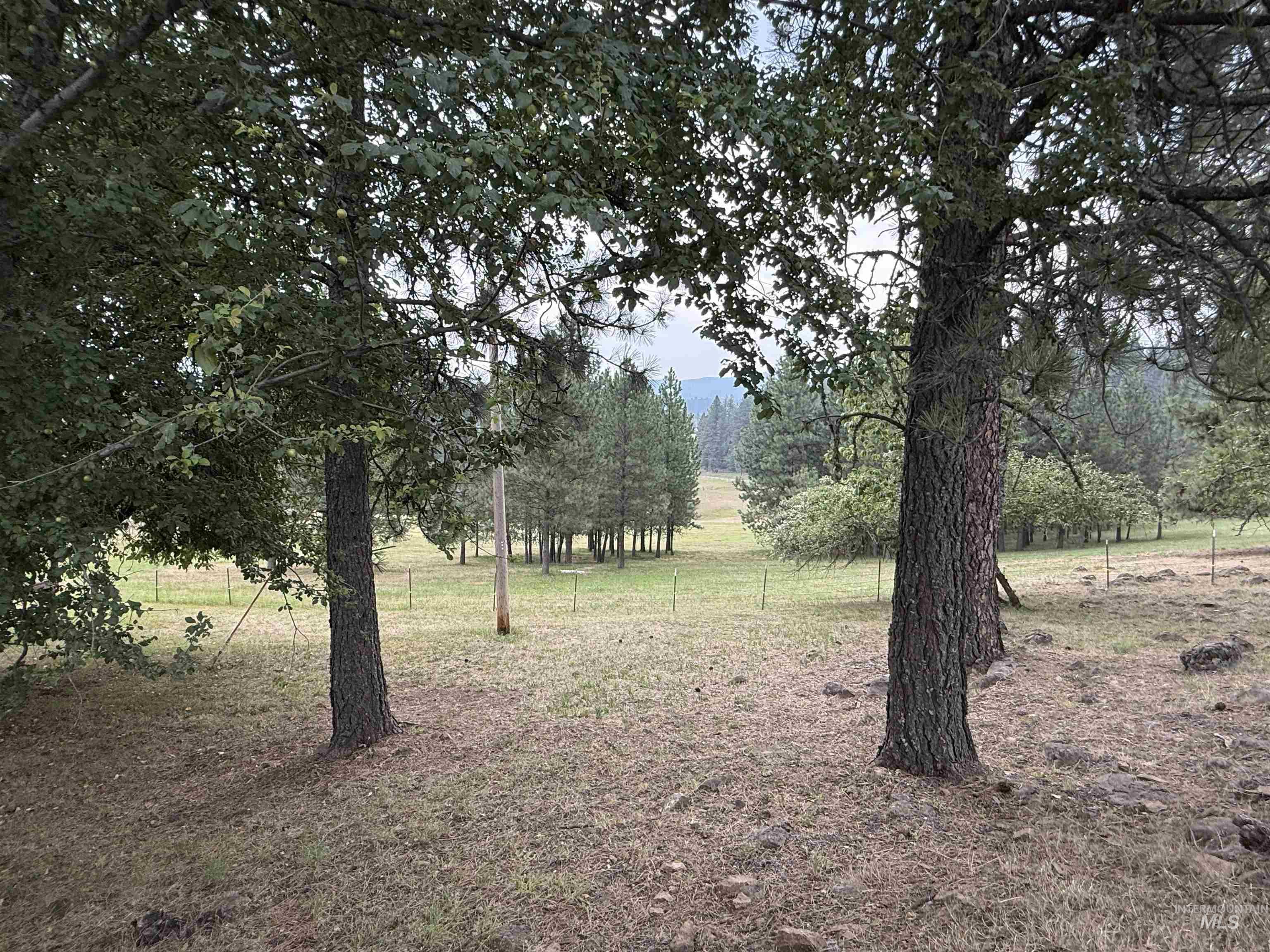 733 Pleasant Valley Road, Stites, Idaho 83552, 2 Bedrooms, 1.5 Bathrooms, Residential For Sale, Price $325,000, 98995268