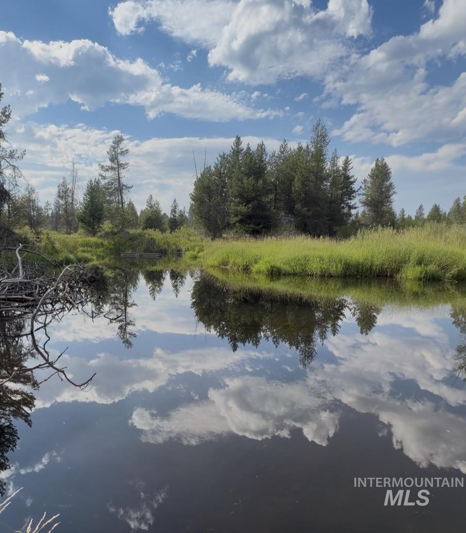 40 Black Pine Place, McCall, Idaho 83638, Land For Sale, Price $169,900, 98995279