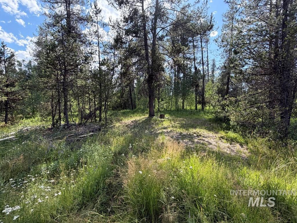 40 Black Pine Place, McCall, Idaho 83638, Land For Sale, Price $169,900, 98995279