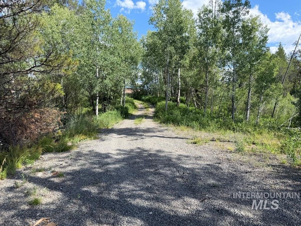 40 Black Pine Place, McCall, Idaho 83638, Land For Sale, Price $169,900, 98995279