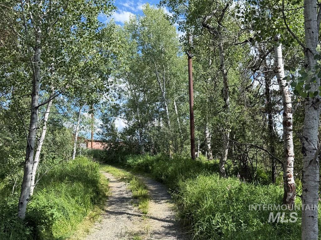 40 Black Pine Place, McCall, Idaho 83638, Land For Sale, Price $169,900, 98995279