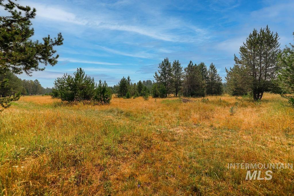 175 Angus, Donnelly, Idaho 83615, 3 Bedrooms, 2 Bathrooms, Residential For Sale, Price $299,500,MLS 98995288