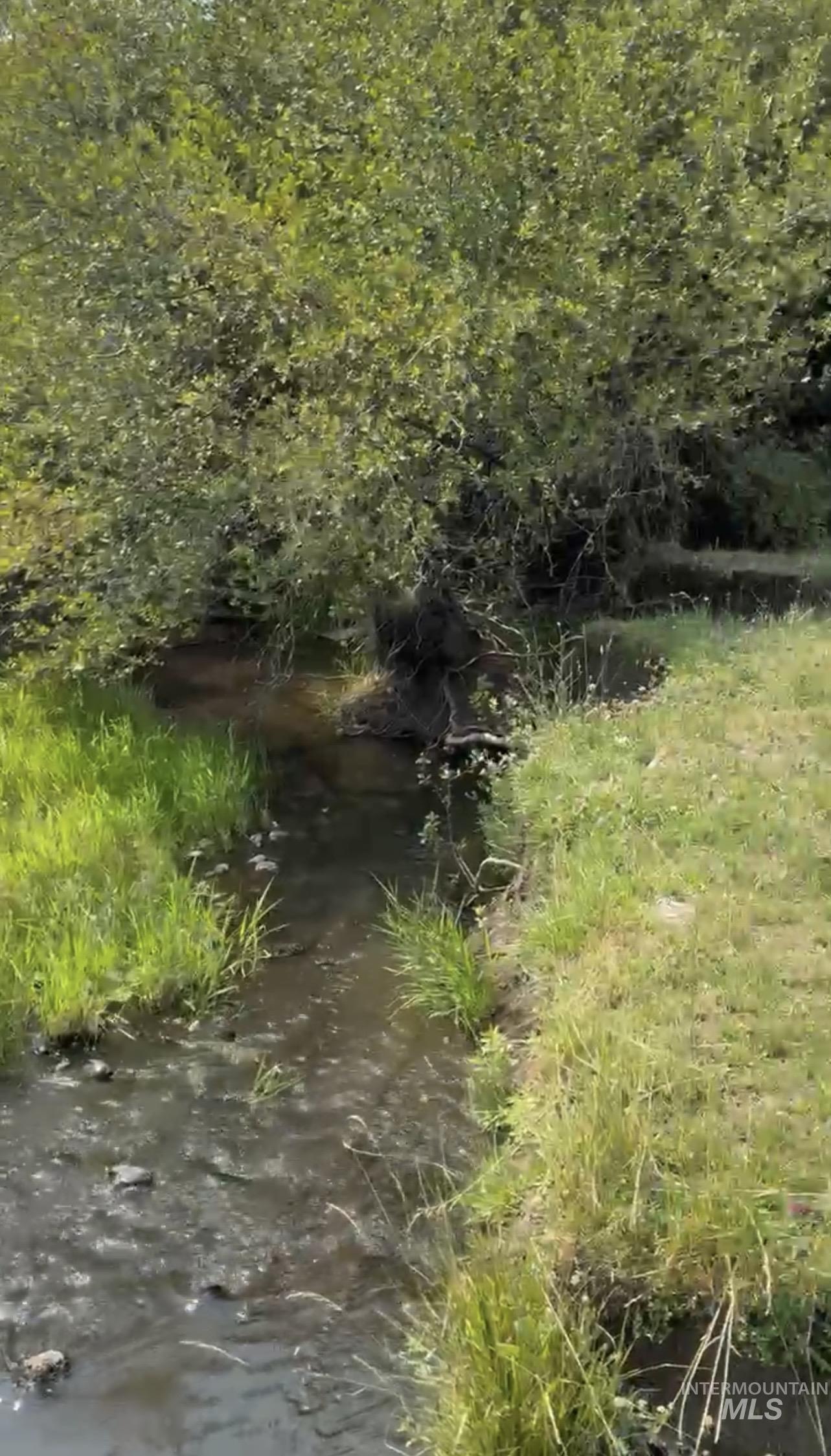 TBD Hoover Lane, Council, Idaho 83612, Land For Sale, Price $325,000,MLS 98995302