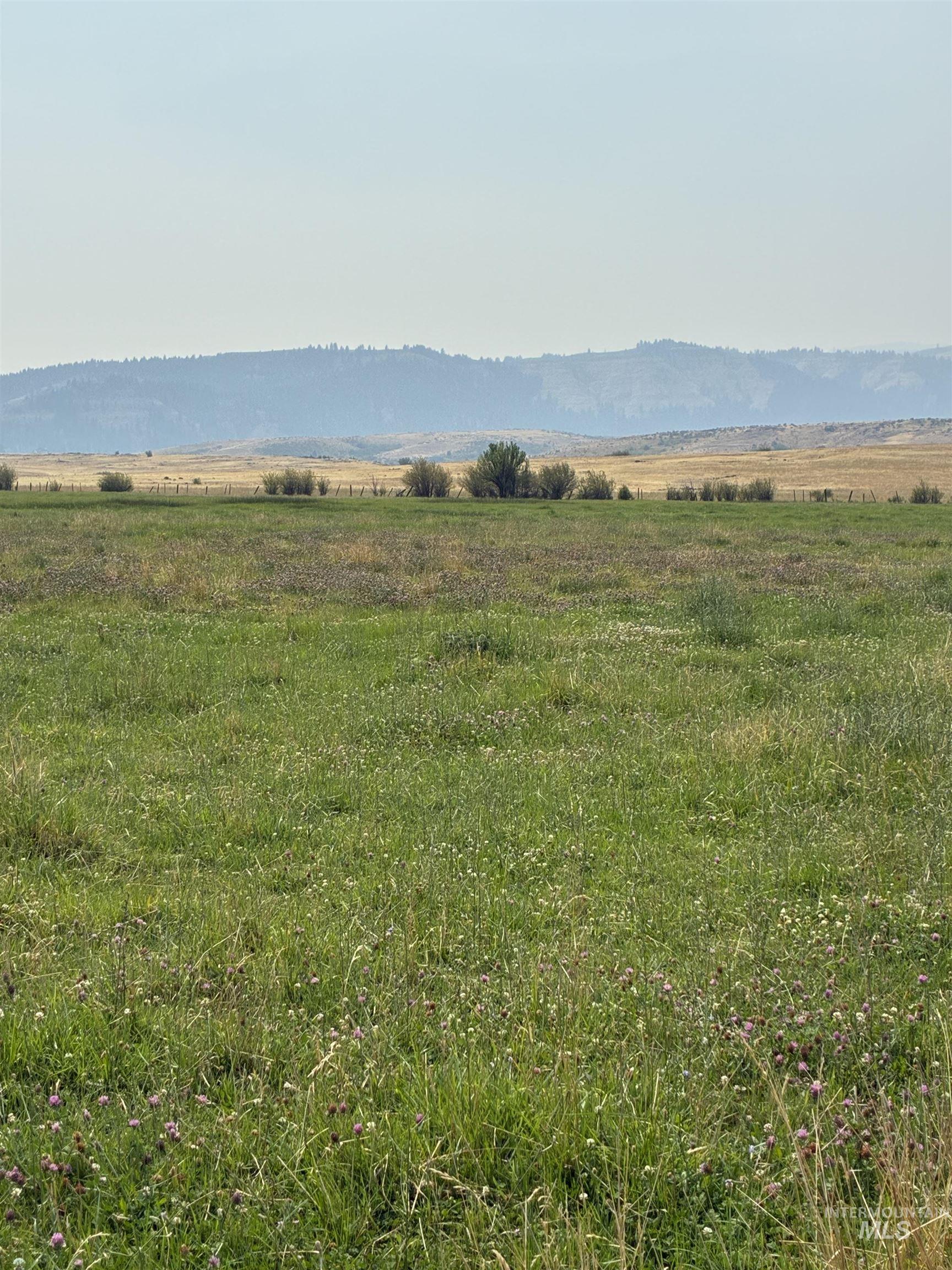 TBD Hoover Lane, Council, Idaho 83612, Land For Sale, Price $325,000,MLS 98995302
