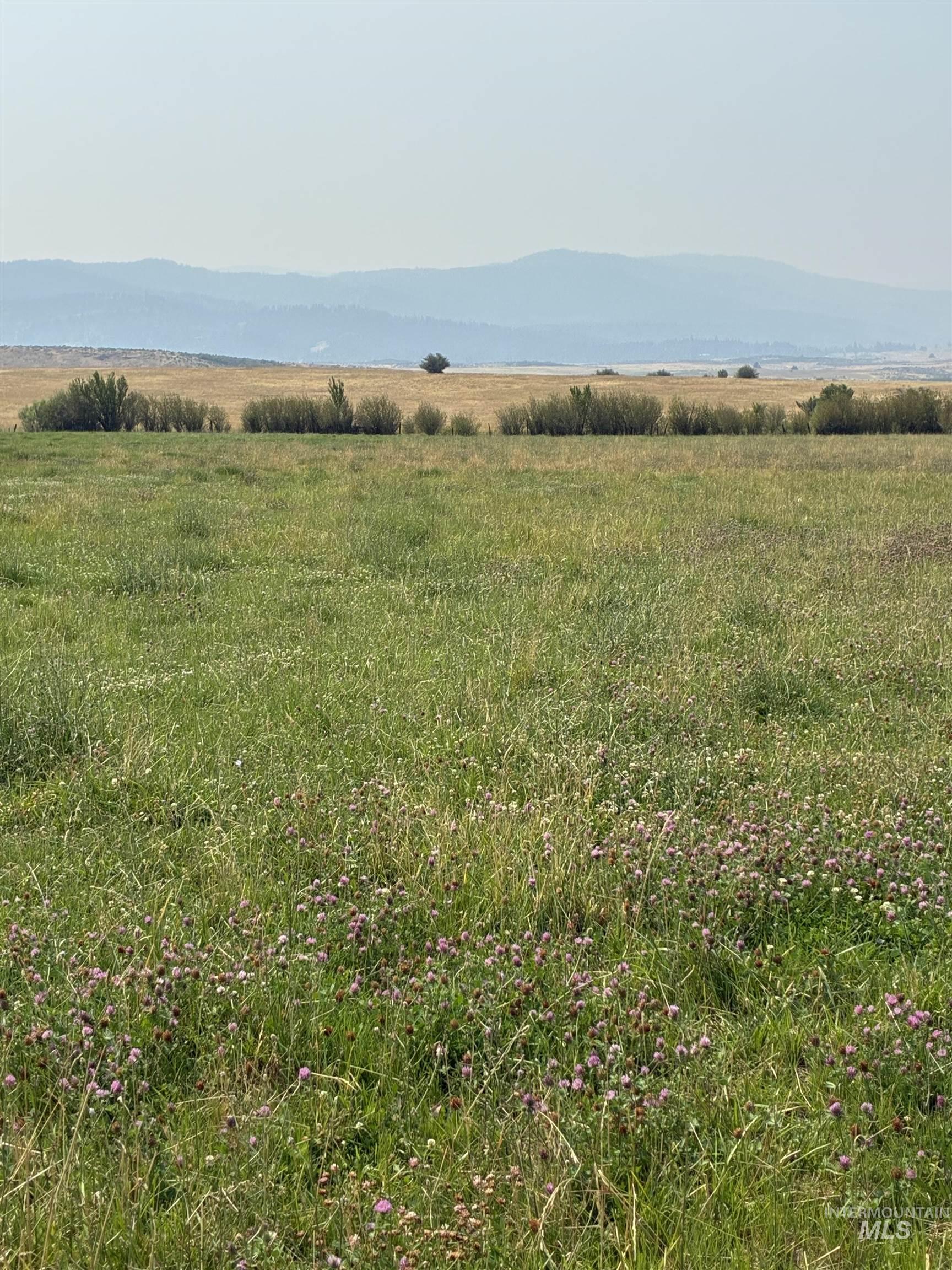 TBD Hoover Lane, Council, Idaho 83612, Land For Sale, Price $325,000,MLS 98995302