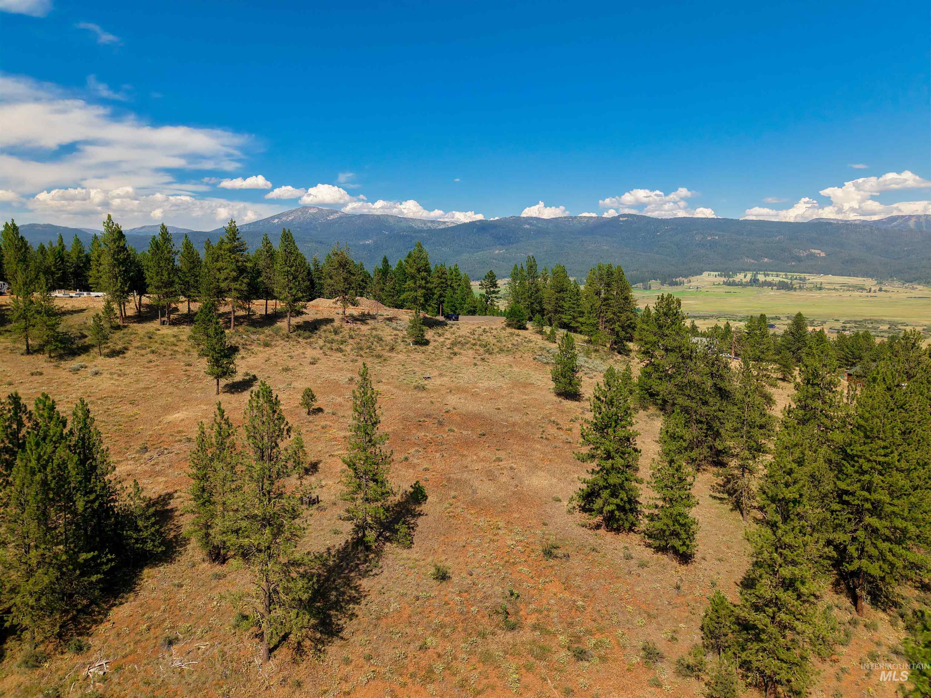 TBD Eagle Feather Road, New Meadows, Idaho 83654, Land For Sale, Price $300,000,MLS 98995378