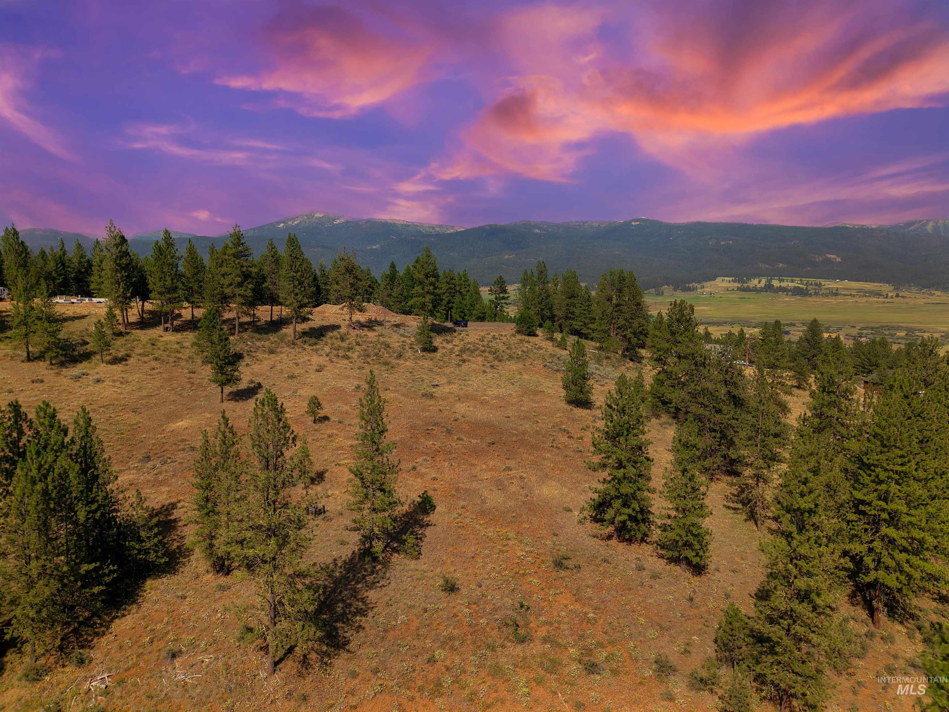 TBD Eagle Feather Road, New Meadows, Idaho 83654, Land For Sale, Price $300,000,MLS 98995378