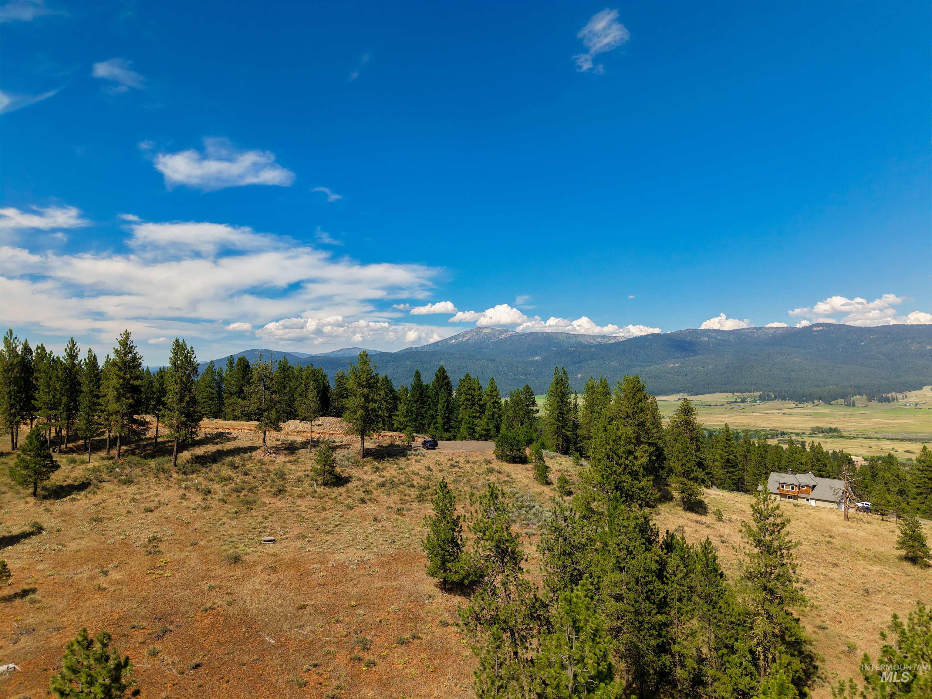 TBD Eagle Feather Road, New Meadows, Idaho 83654, Land For Sale, Price $300,000,MLS 98995378