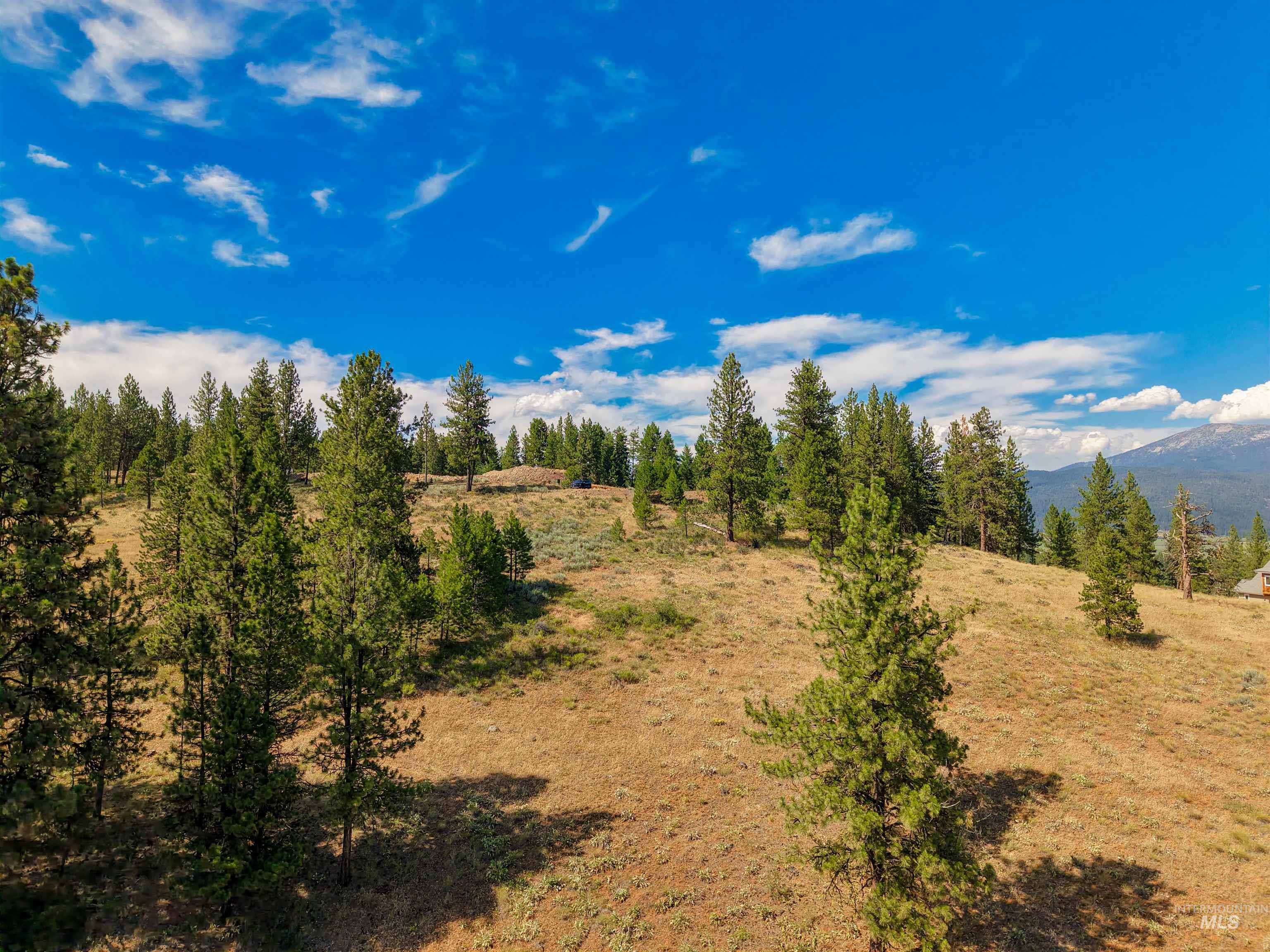 TBD Eagle Feather Road, New Meadows, Idaho 83654, Land For Sale, Price $300,000,MLS 98995378