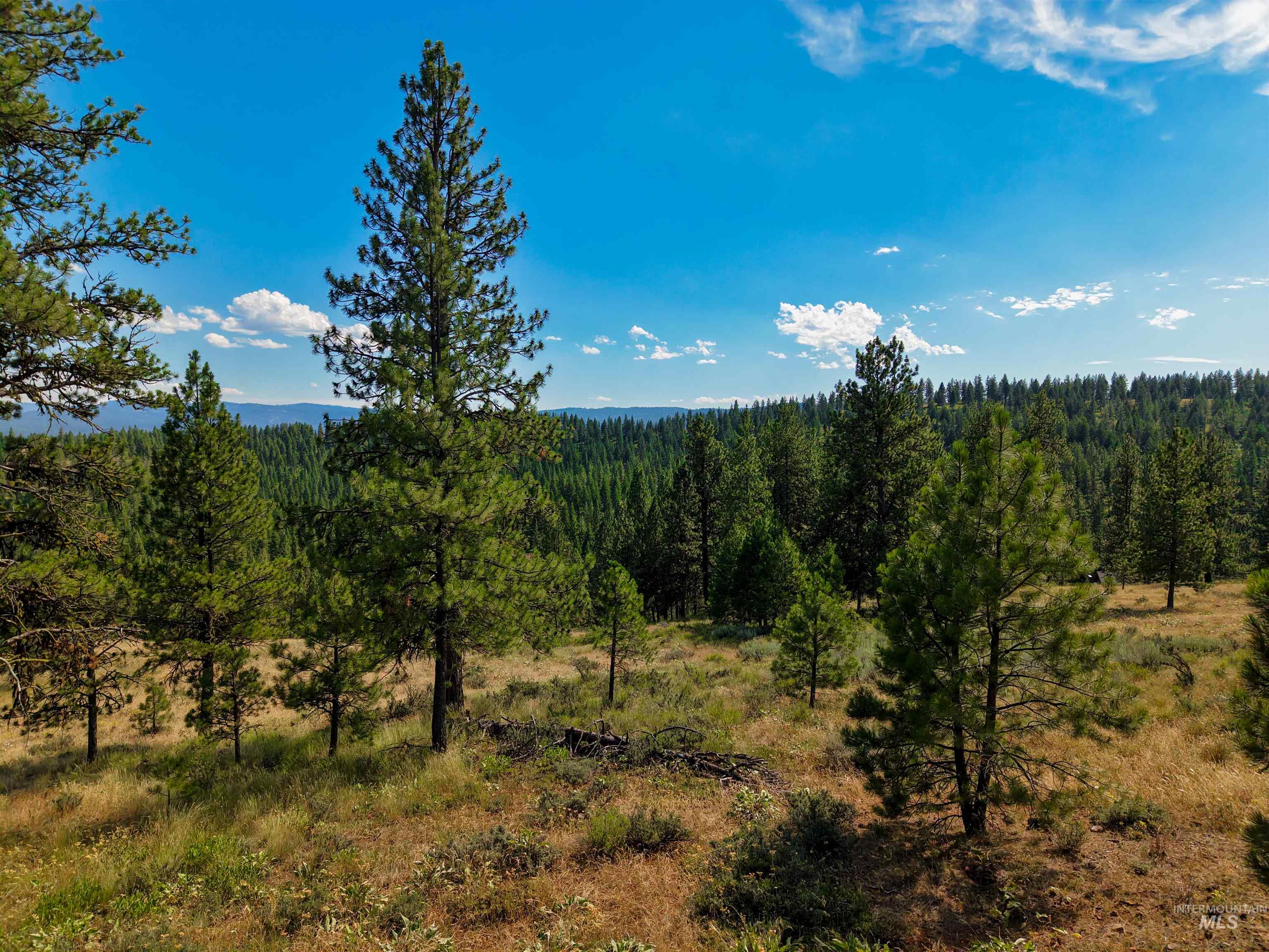 TBD Eagle Feather Road, New Meadows, Idaho 83654, Land For Sale, Price $300,000,MLS 98995378