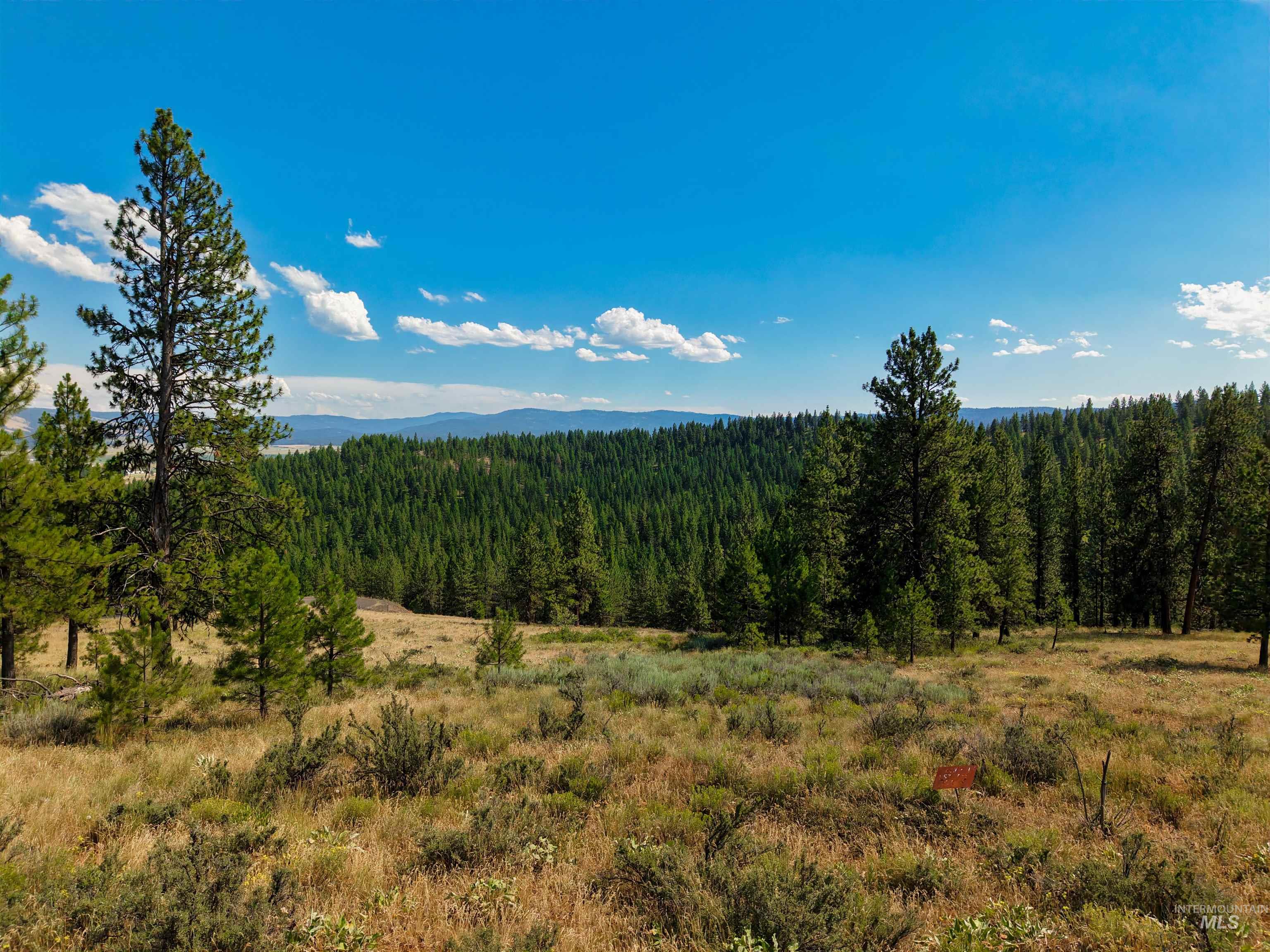 TBD Eagle Feather Road, New Meadows, Idaho 83654, Land For Sale, Price $300,000,MLS 98995378