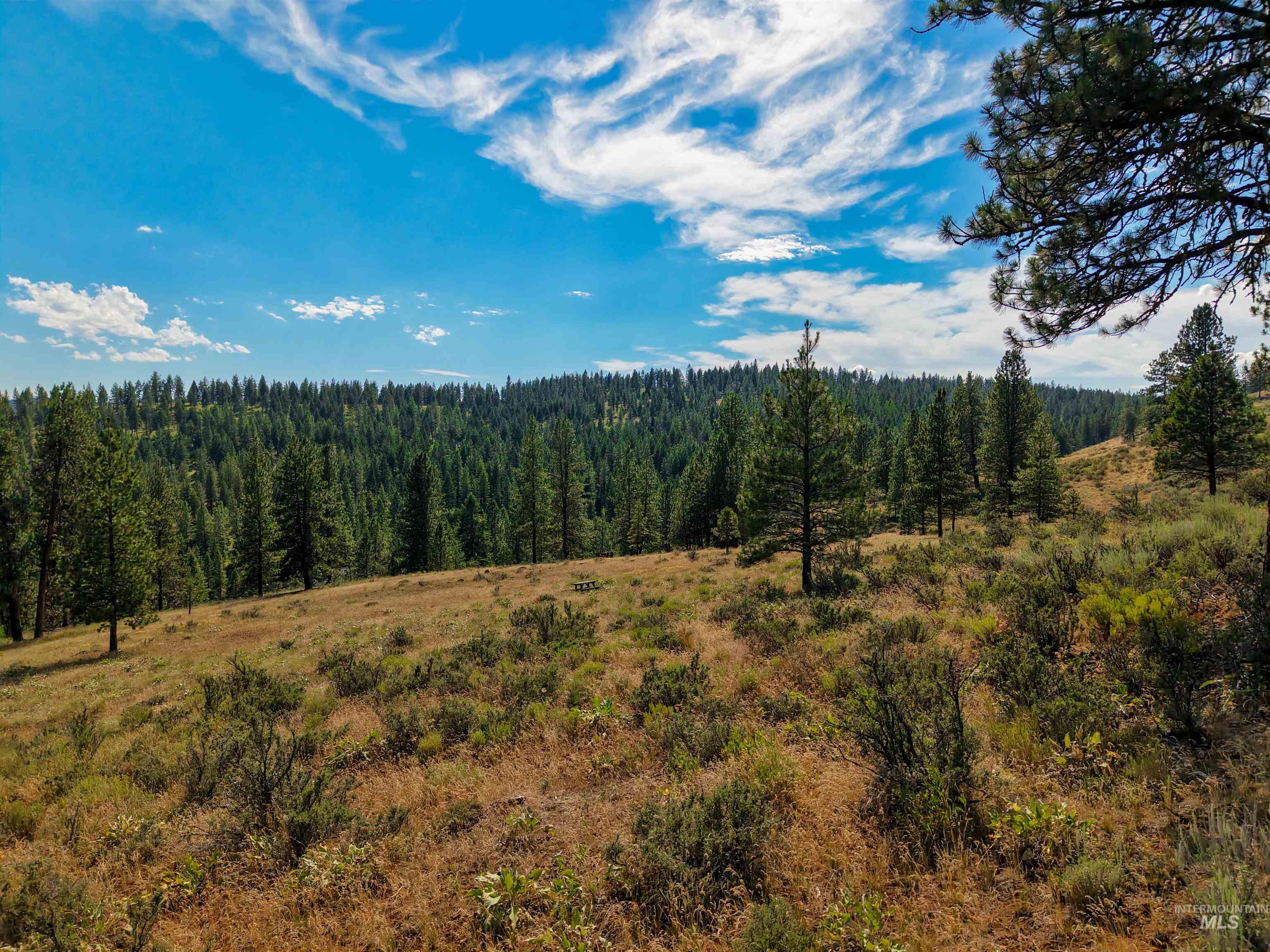 TBD Eagle Feather Road, New Meadows, Idaho 83654, Land For Sale, Price $300,000,MLS 98995378
