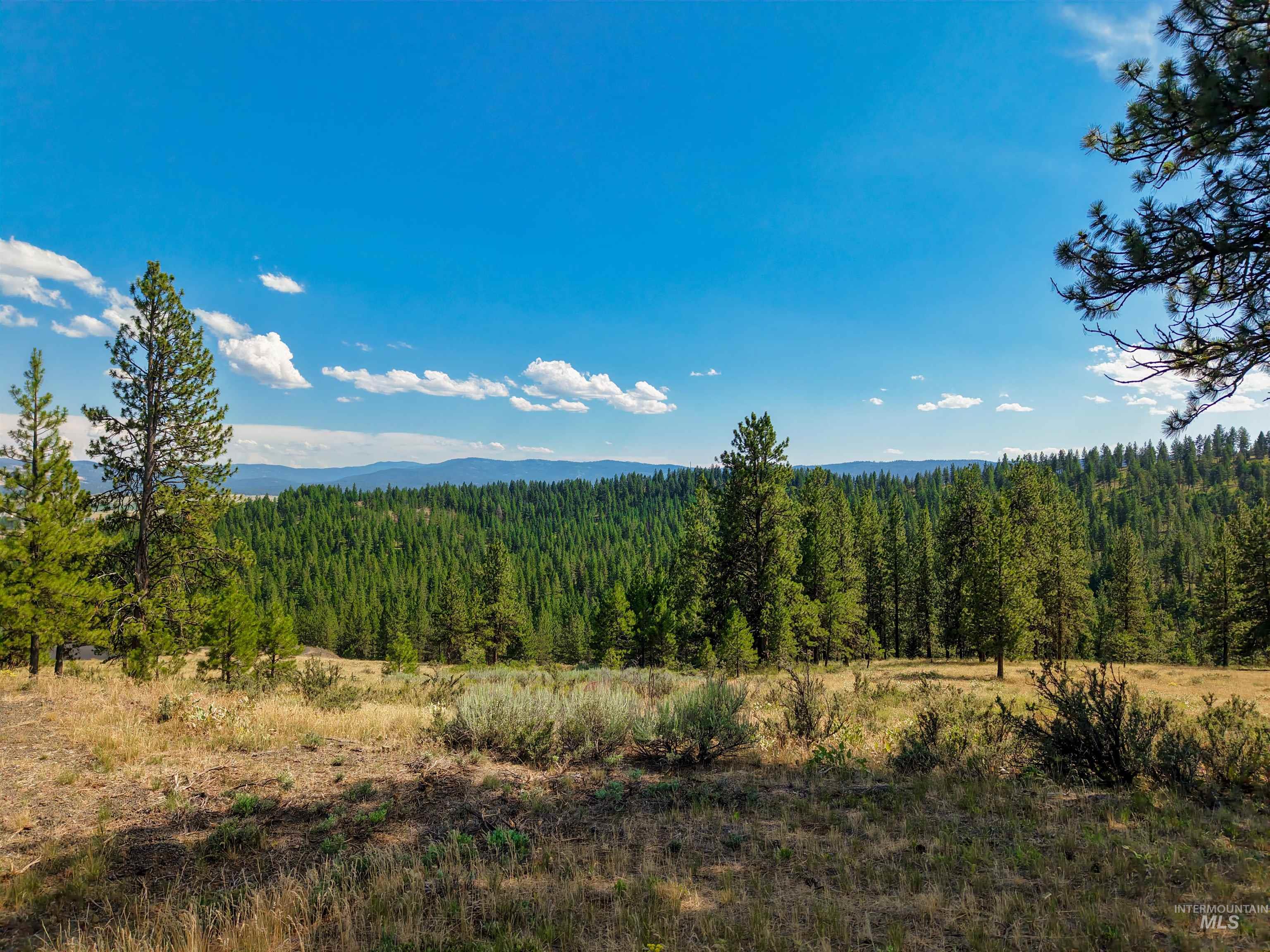 TBD Eagle Feather Road, New Meadows, Idaho 83654, Land For Sale, Price $300,000,MLS 98995378