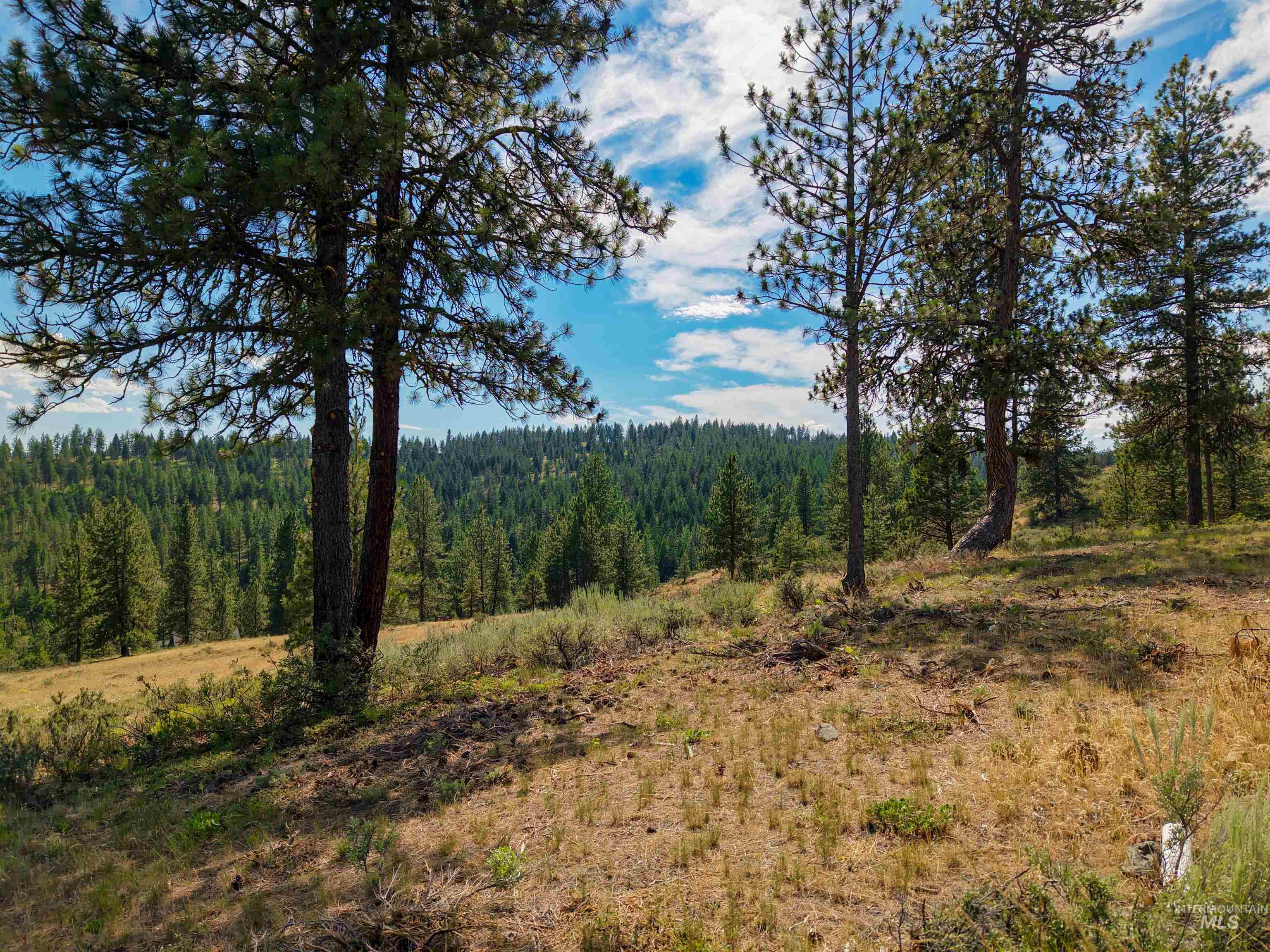 TBD Eagle Feather Road, New Meadows, Idaho 83654, Land For Sale, Price $300,000,MLS 98995378