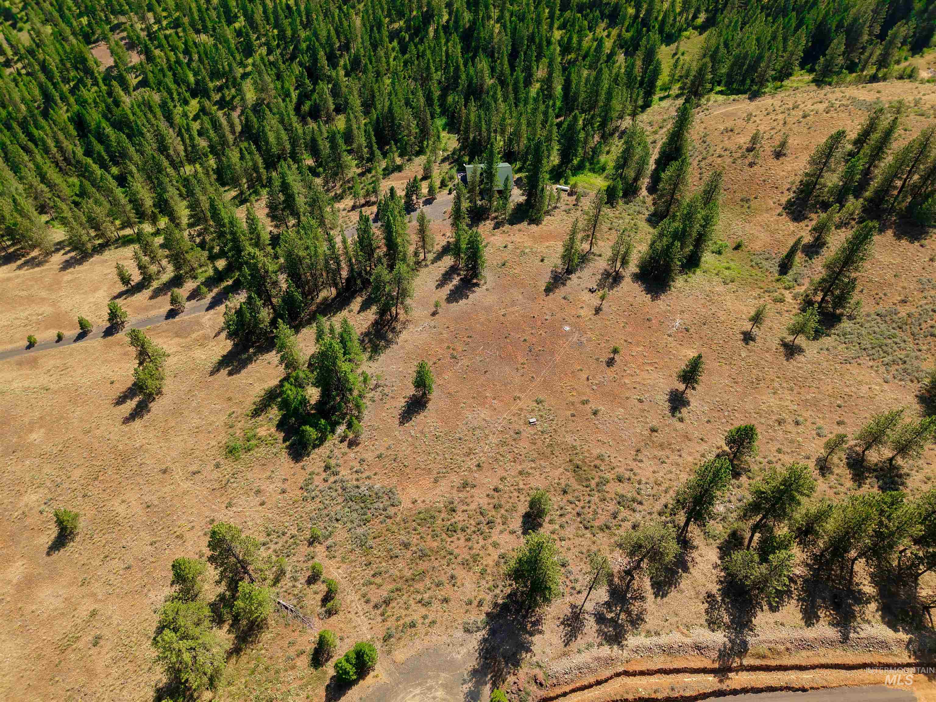 TBD Eagle Feather Road, New Meadows, Idaho 83654, Land For Sale, Price $300,000,MLS 98995378