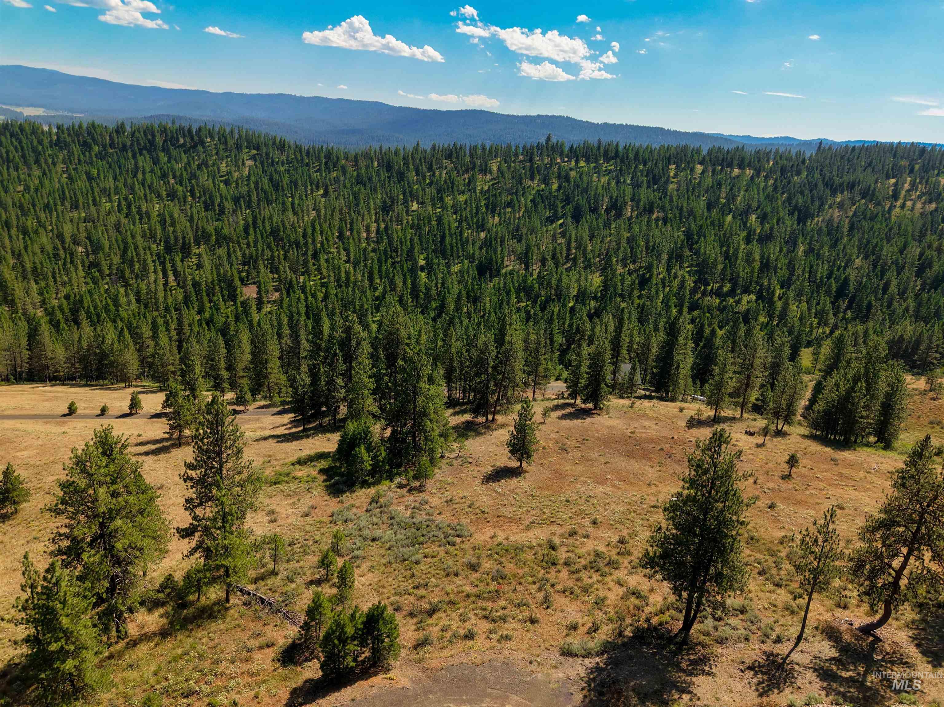 TBD Eagle Feather Road, New Meadows, Idaho 83654, Land For Sale, Price $300,000,MLS 98995378