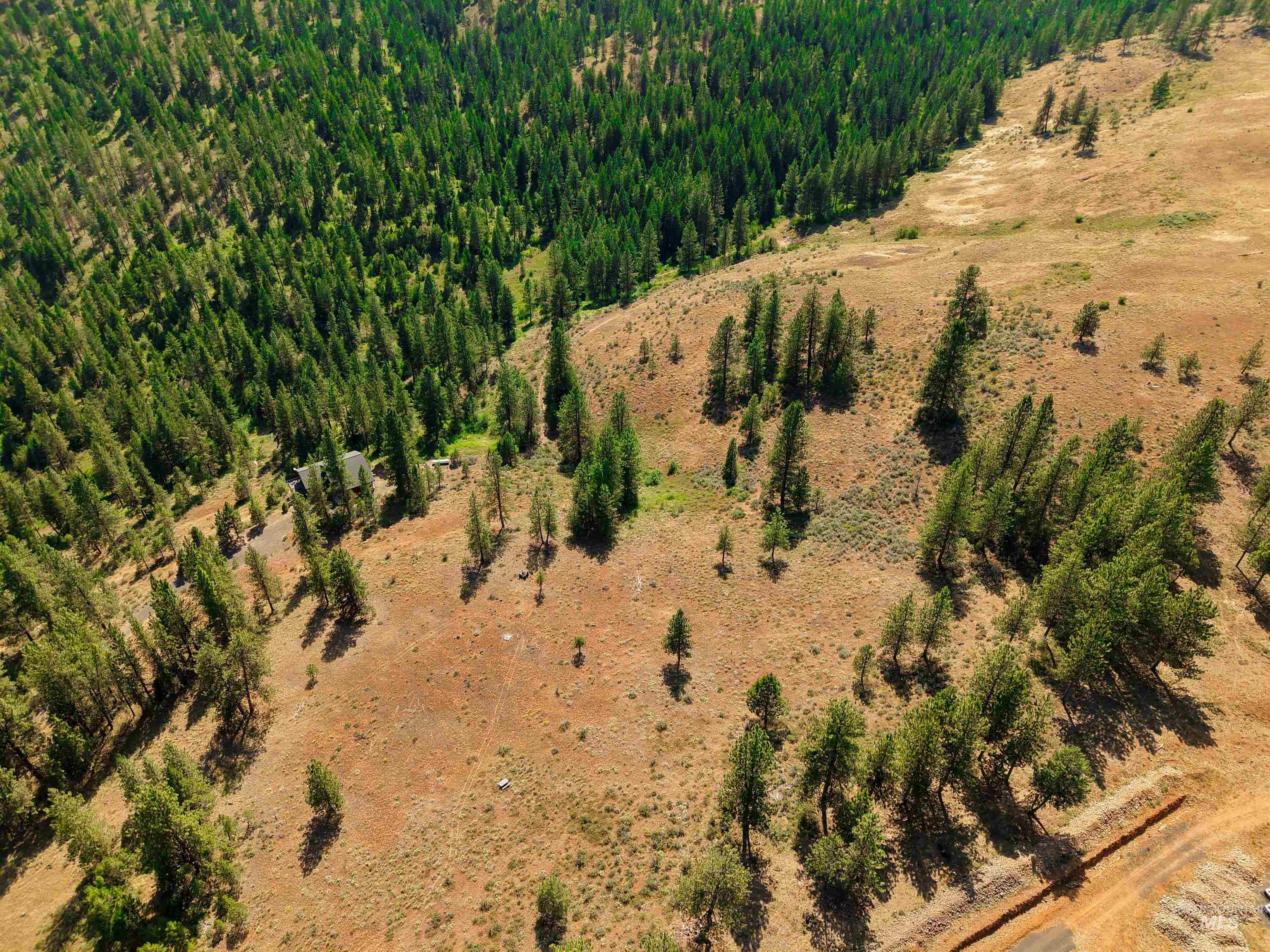 TBD Eagle Feather Road, New Meadows, Idaho 83654, Land For Sale, Price $300,000,MLS 98995378
