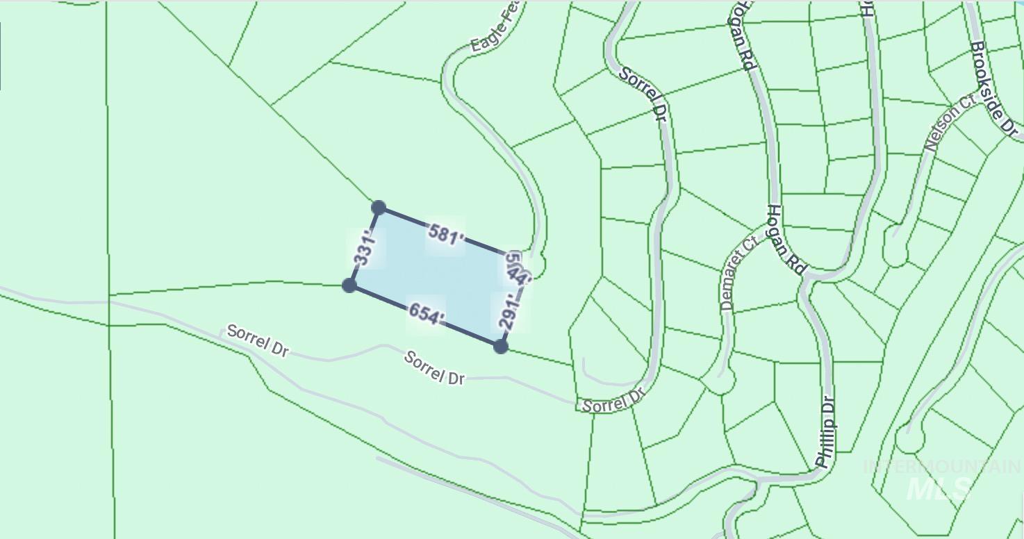 TBD Eagle Feather Road, New Meadows, Idaho 83654, Land For Sale, Price $300,000,MLS 98995378