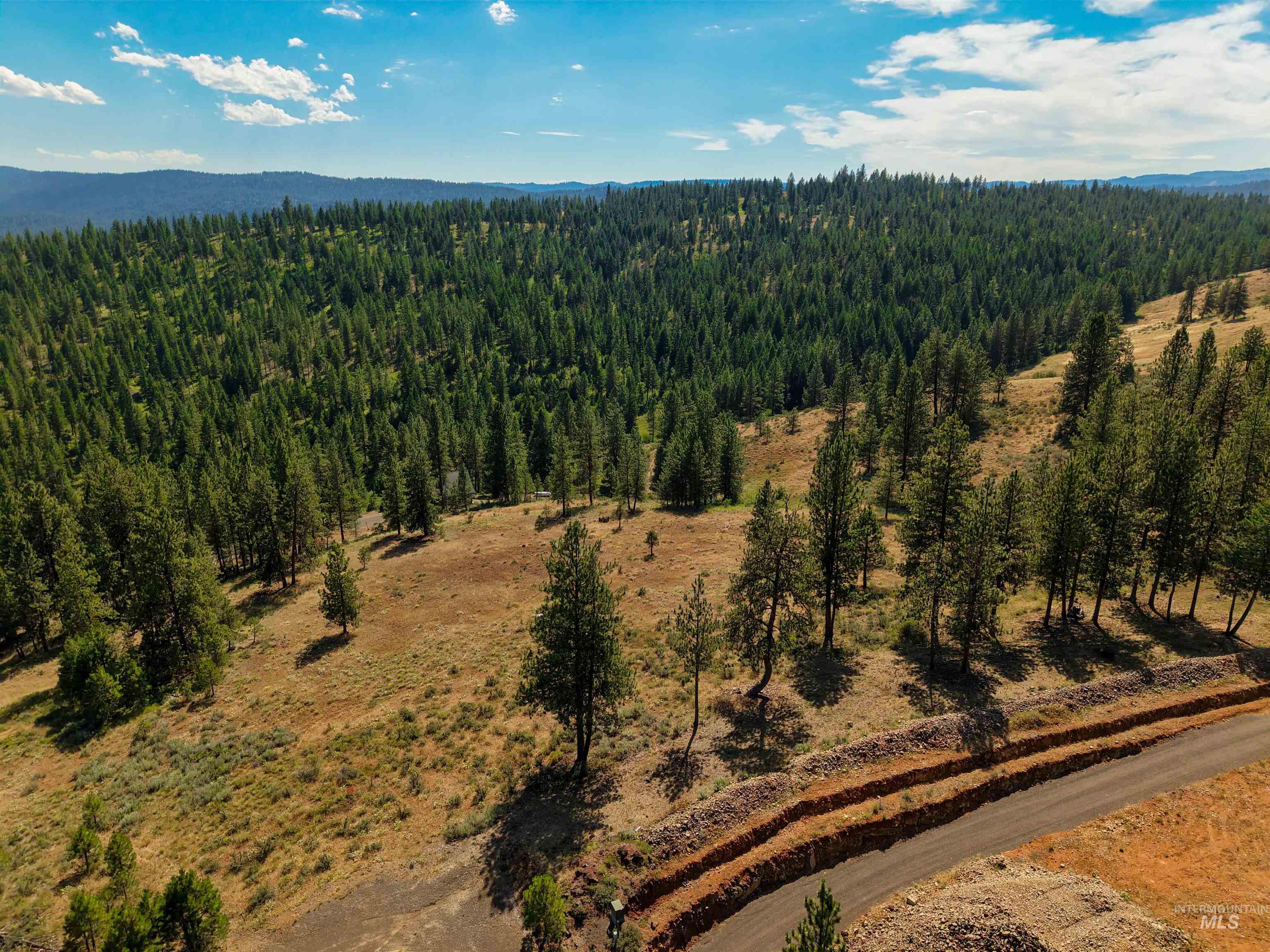 TBD Eagle Feather Road, New Meadows, Idaho 83654, Land For Sale, Price $300,000,MLS 98995378