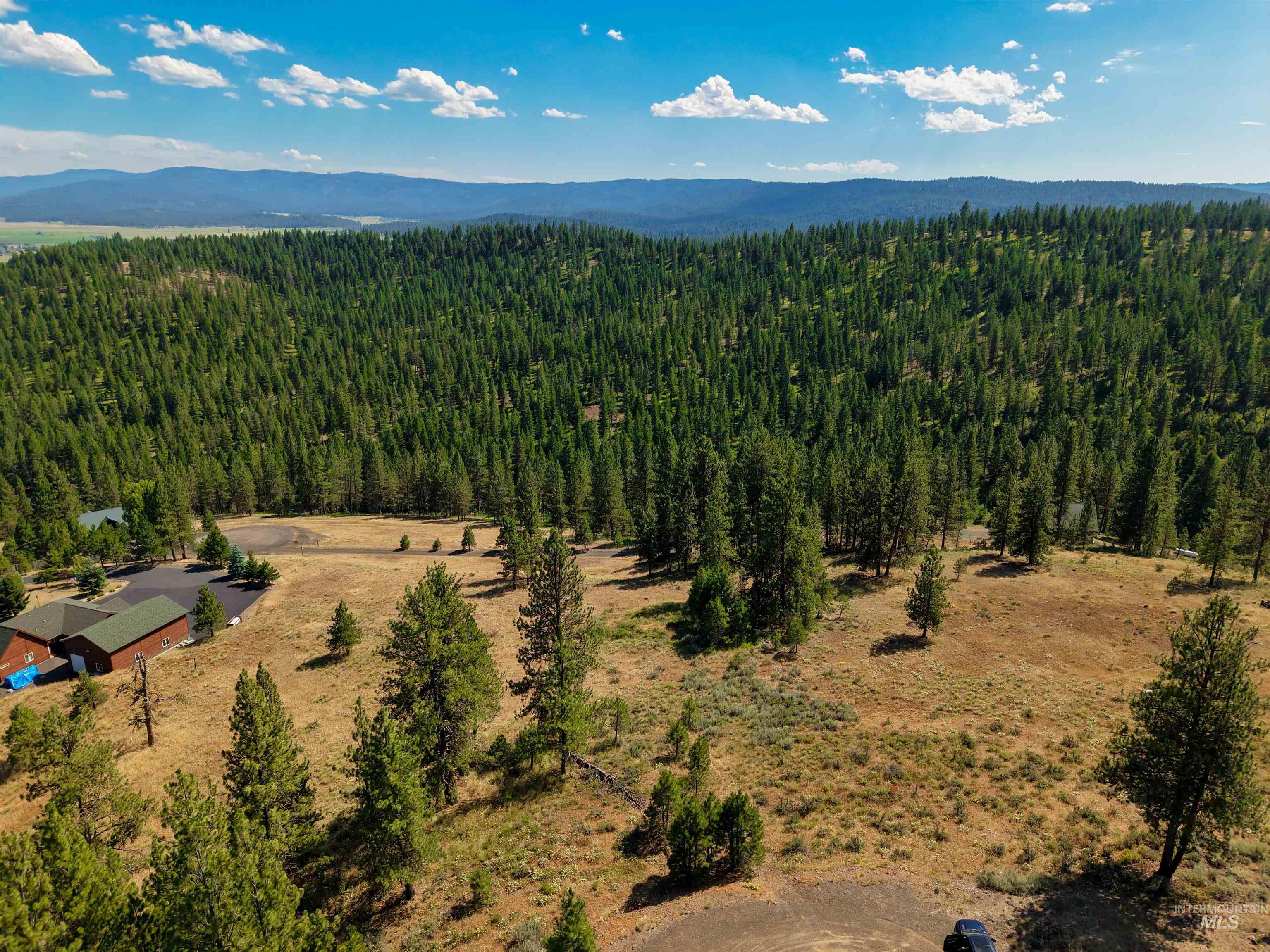 TBD Eagle Feather Road, New Meadows, Idaho 83654, Land For Sale, Price $300,000,MLS 98995378
