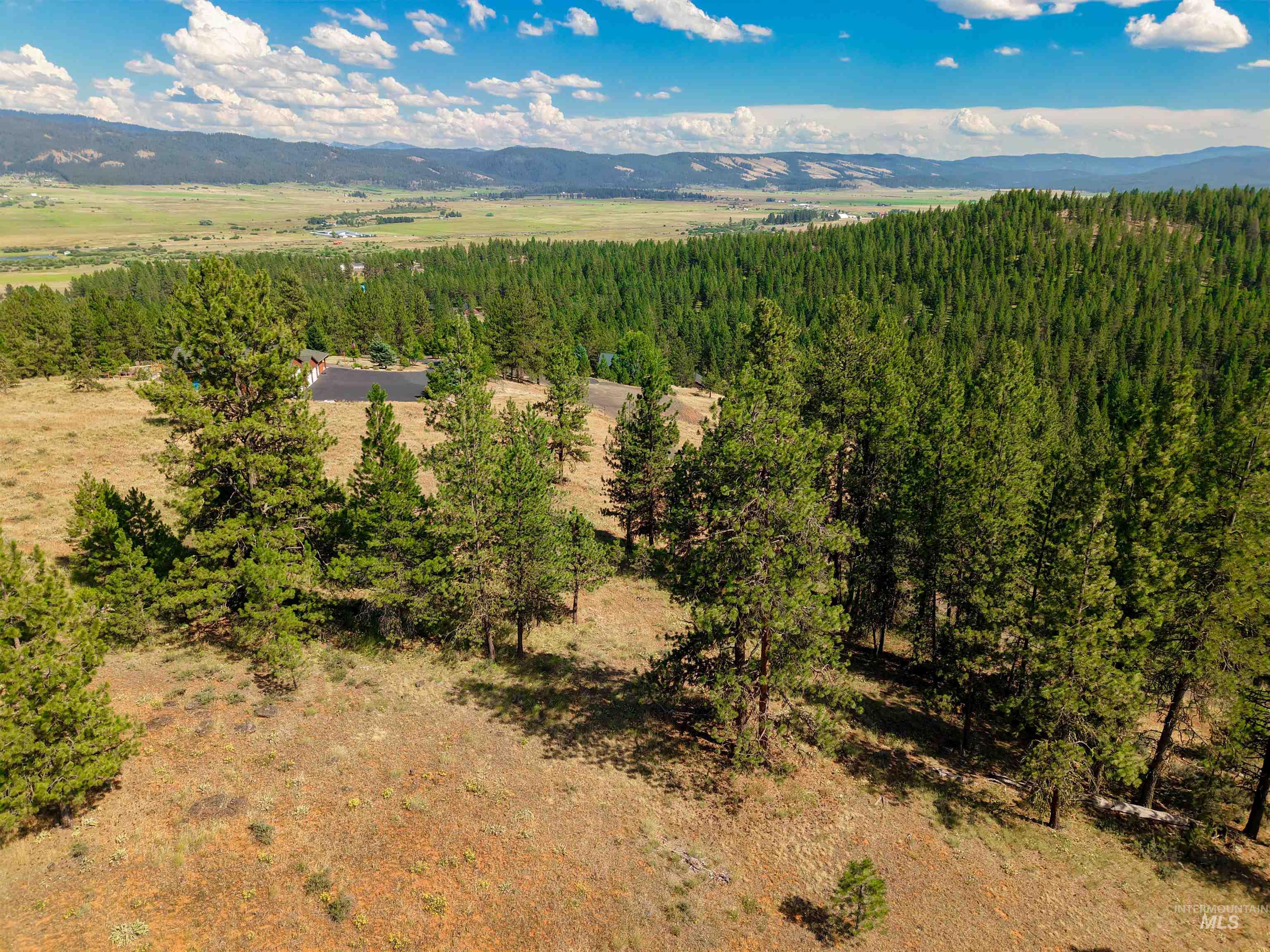 TBD Eagle Feather Road, New Meadows, Idaho 83654, Land For Sale, Price $300,000,MLS 98995378