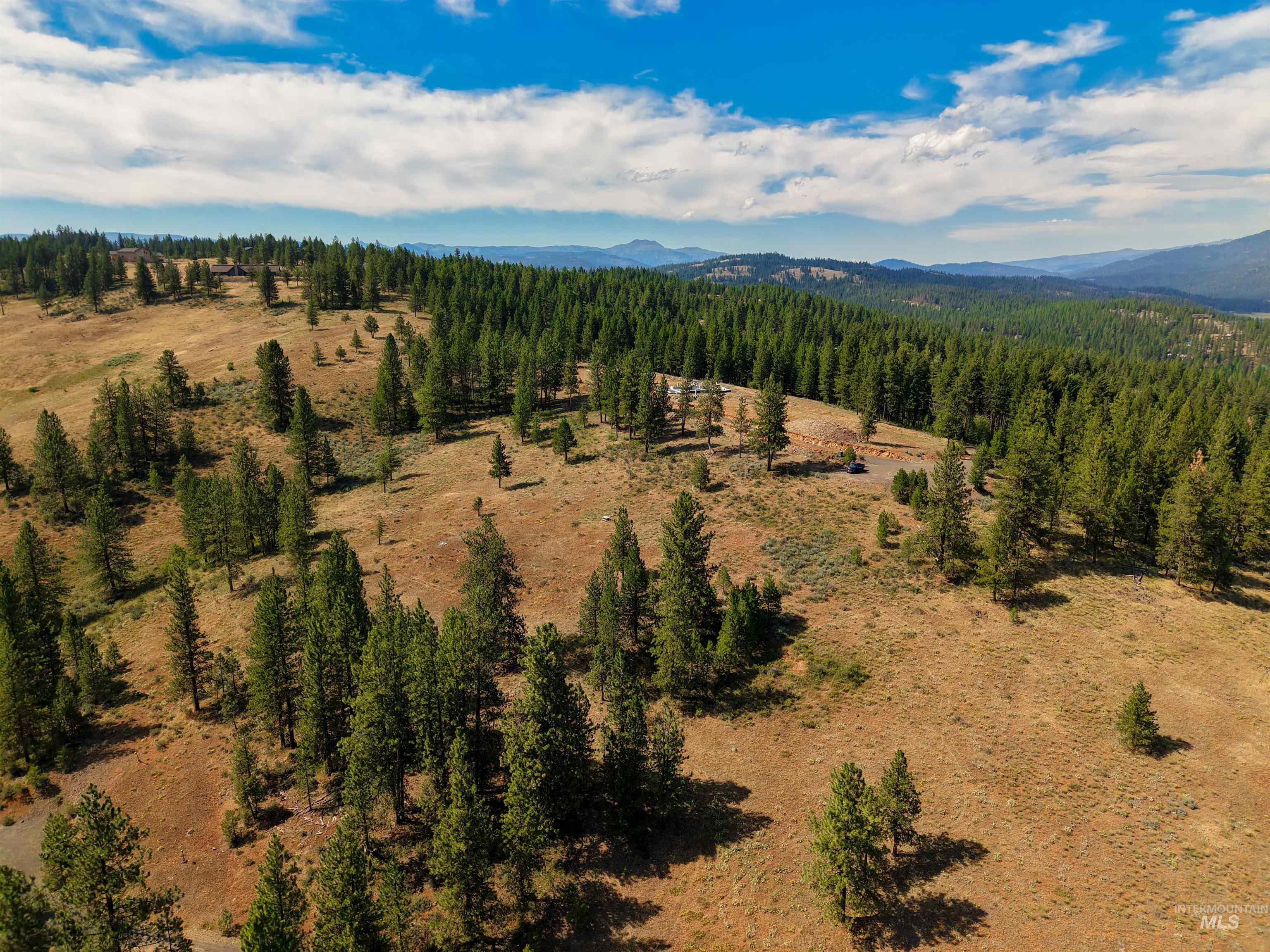 TBD Eagle Feather Road, New Meadows, Idaho 83654, Land For Sale, Price $300,000,MLS 98995378