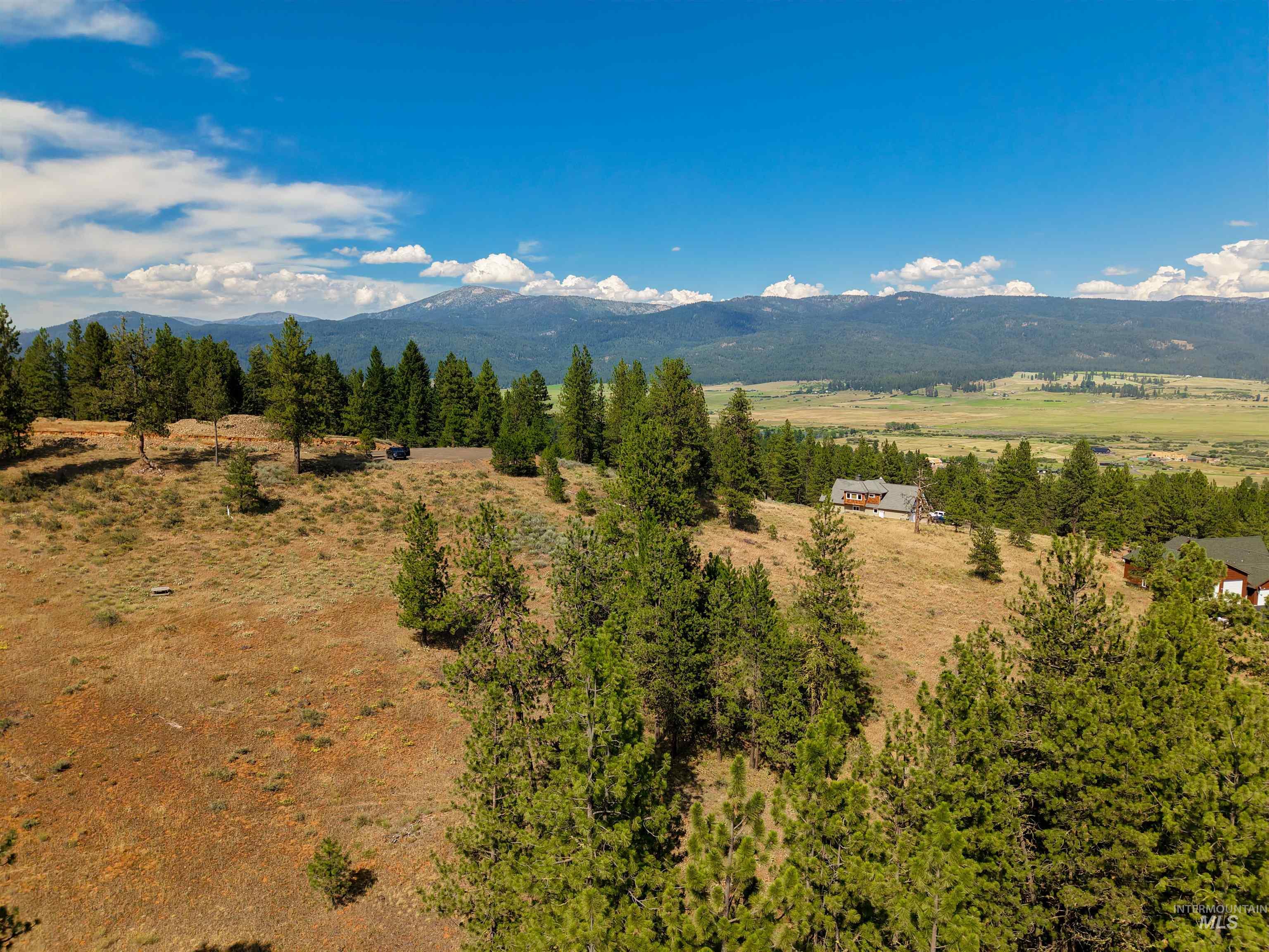 TBD Eagle Feather Road, New Meadows, Idaho 83654, Land For Sale, Price $300,000,MLS 98995378