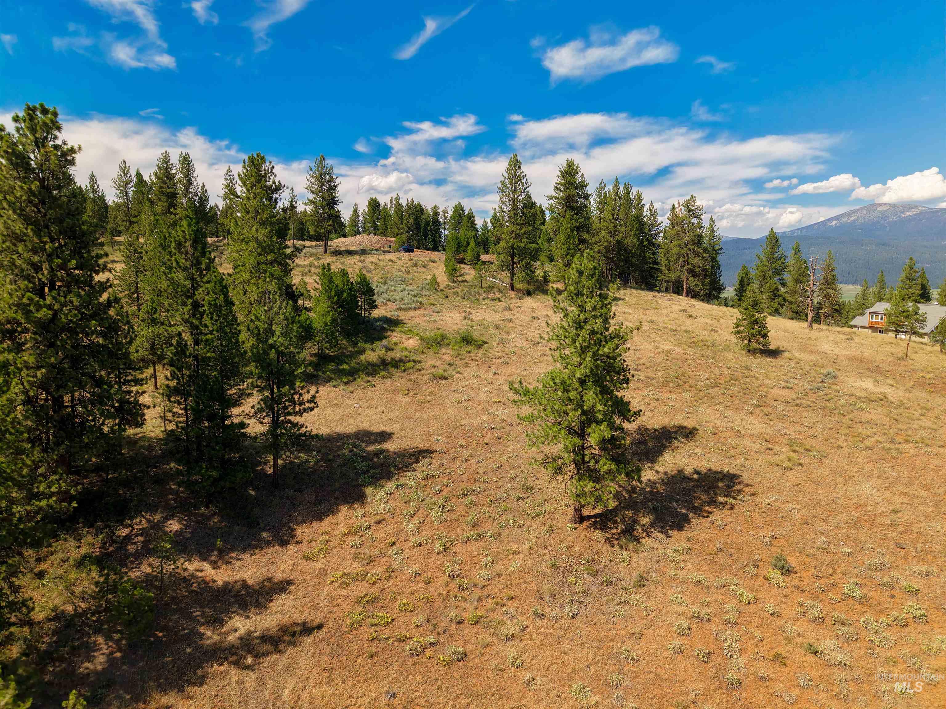 TBD Eagle Feather Road, New Meadows, Idaho 83654, Land For Sale, Price $300,000,MLS 98995378