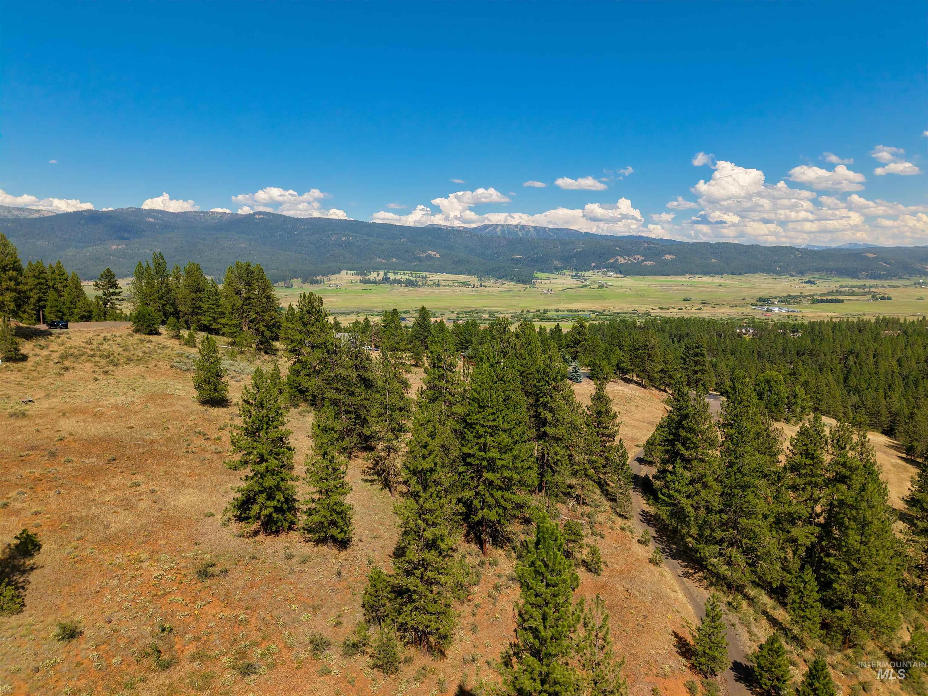 TBD Eagle Feather Road, New Meadows, Idaho 83654, Land For Sale, Price $300,000,MLS 98995378