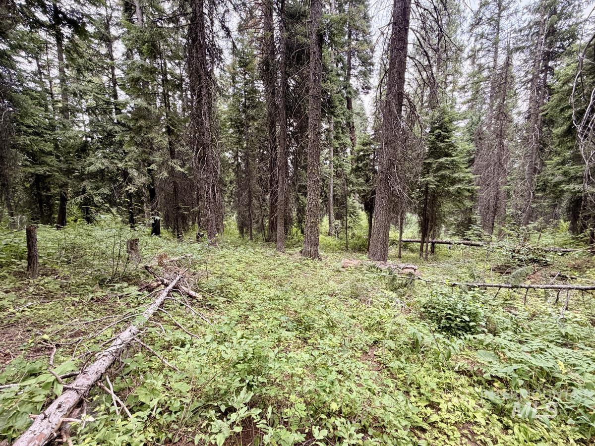 56 Burnt Wagon Trail, Donnelly, Idaho 83615, Land For Sale, Price $150,000, 98995424