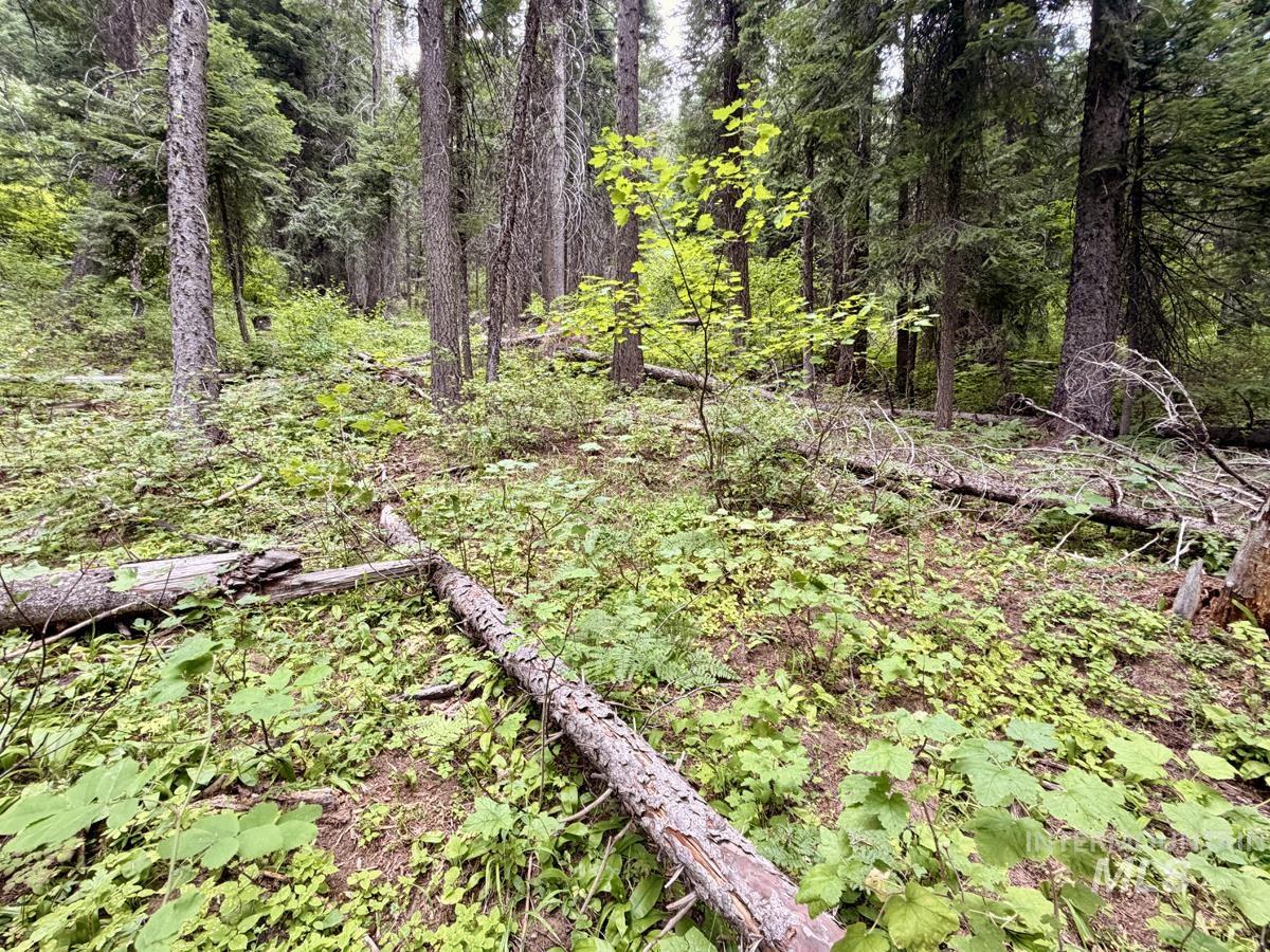 56 Burnt Wagon Trail, Donnelly, Idaho 83615, Land For Sale, Price $150,000, 98995424