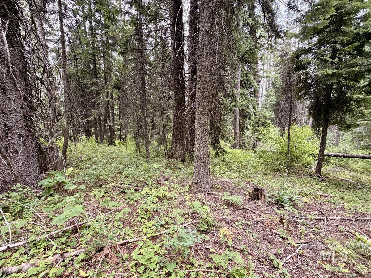 56 Burnt Wagon Trail, Donnelly, Idaho 83615, Land For Sale, Price $150,000, 98995424