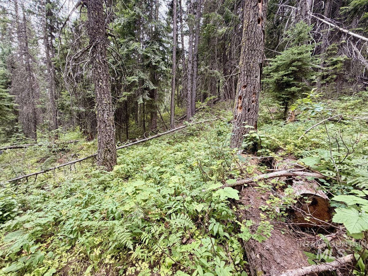 56 Burnt Wagon Trail, Donnelly, Idaho 83615, Land For Sale, Price $150,000, 98995424