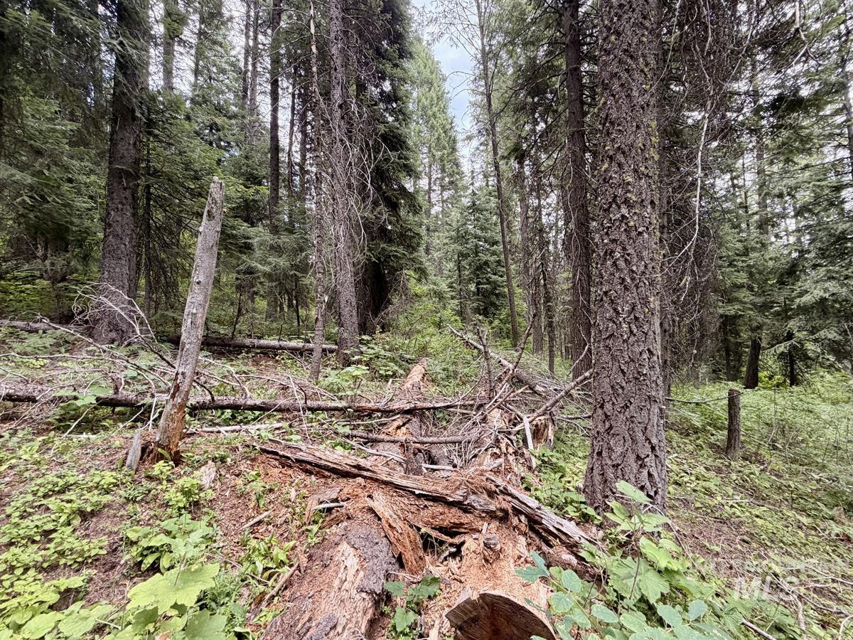 56 Burnt Wagon Trail, Donnelly, Idaho 83615, Land For Sale, Price $150,000, 98995424