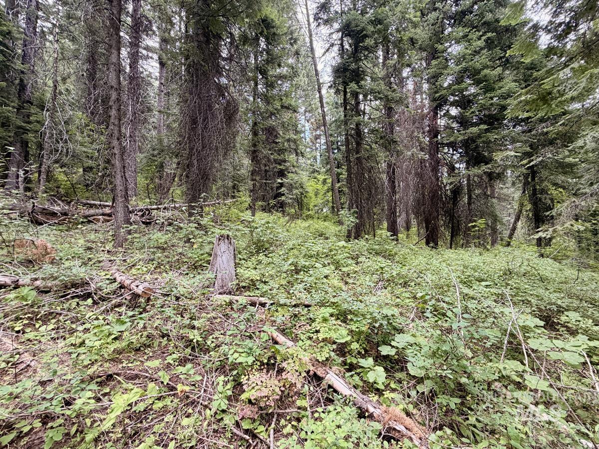 56 Burnt Wagon Trail, Donnelly, Idaho 83615, Land For Sale, Price $150,000, 98995424
