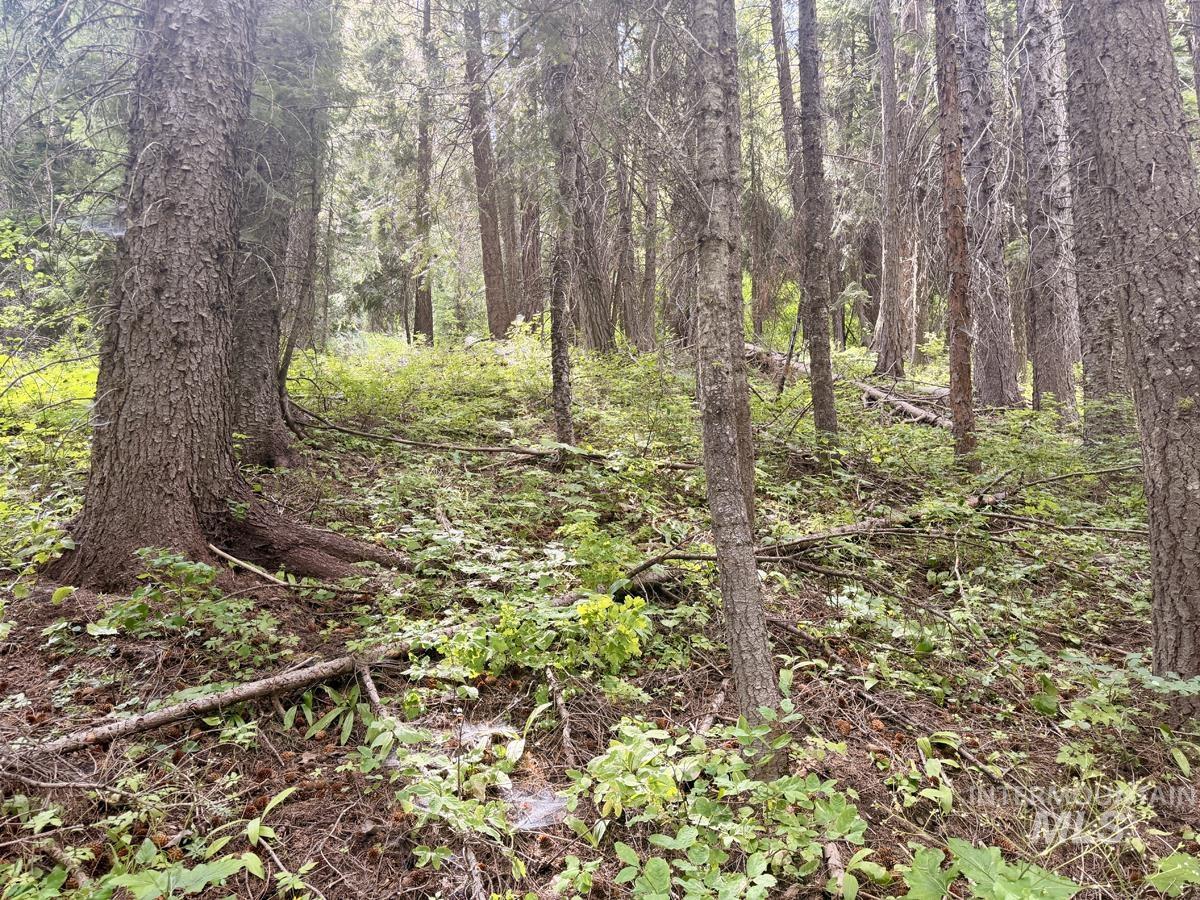 56 Burnt Wagon Trail, Donnelly, Idaho 83615, Land For Sale, Price $150,000, 98995424