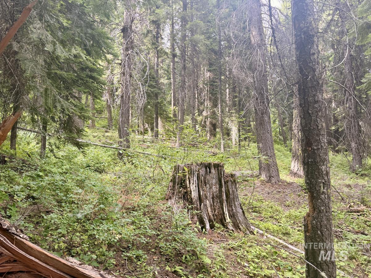 56 Burnt Wagon Trail, Donnelly, Idaho 83615, Land For Sale, Price $150,000, 98995424