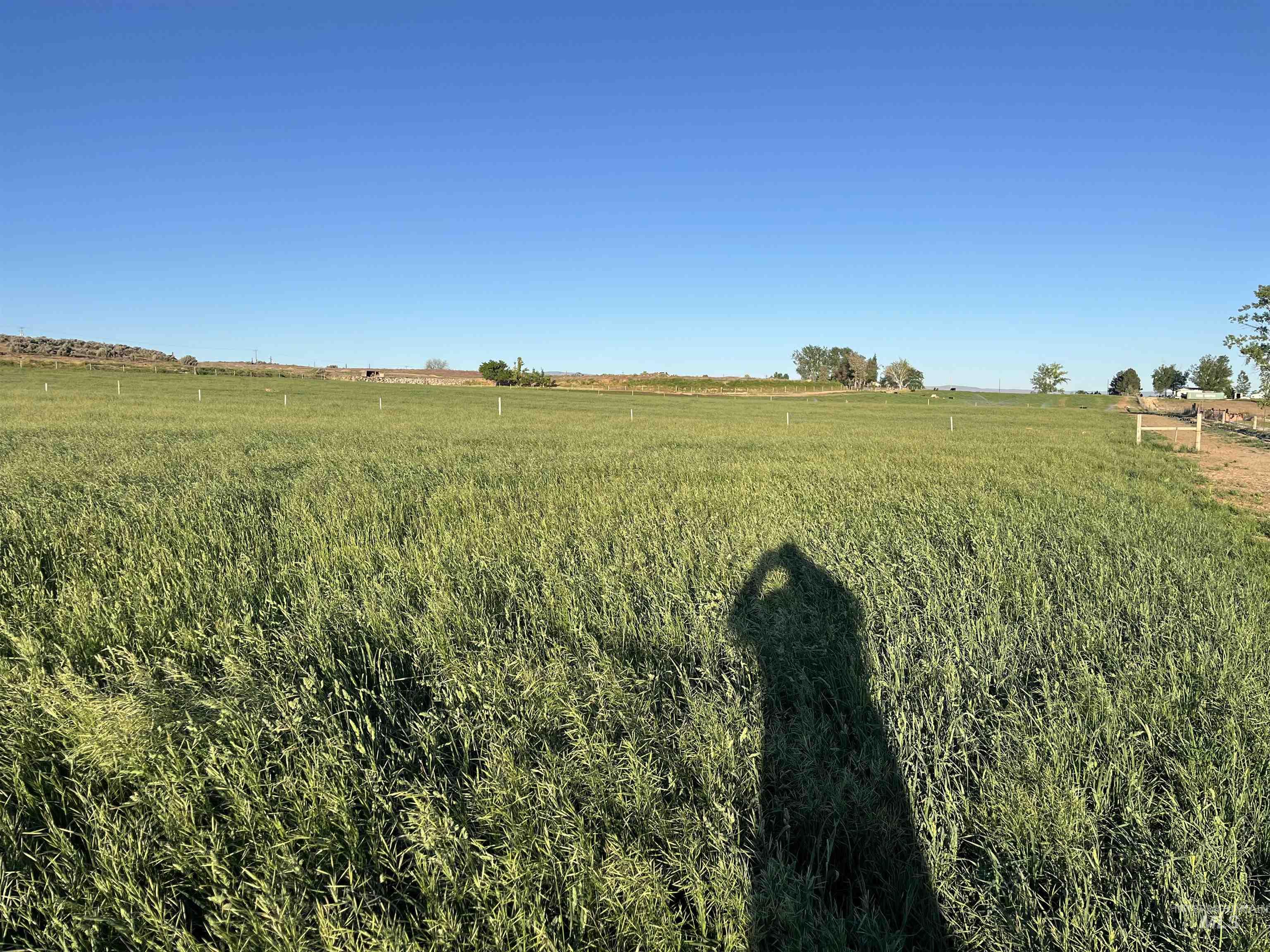 6712 Stage Coach Rd, Nampa, Idaho 83686, 4 Bedrooms, 2 Bathrooms, Residential For Sale, Price $1,675,000,MLS 98995447