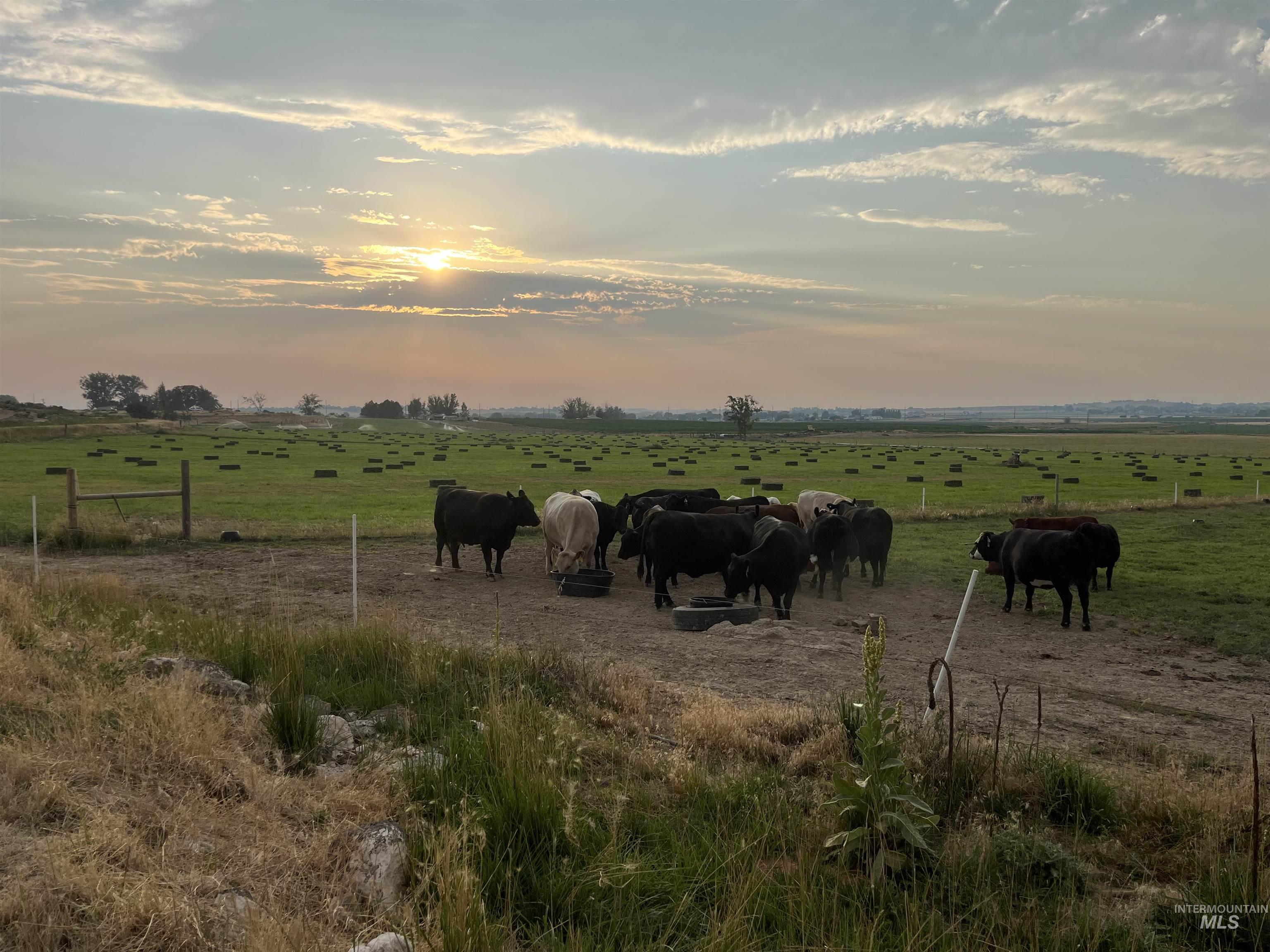 6712 Stage Coach Rd, Nampa, Idaho 83686, 4 Bedrooms, 2 Bathrooms, Residential For Sale, Price $1,675,000,MLS 98995447
