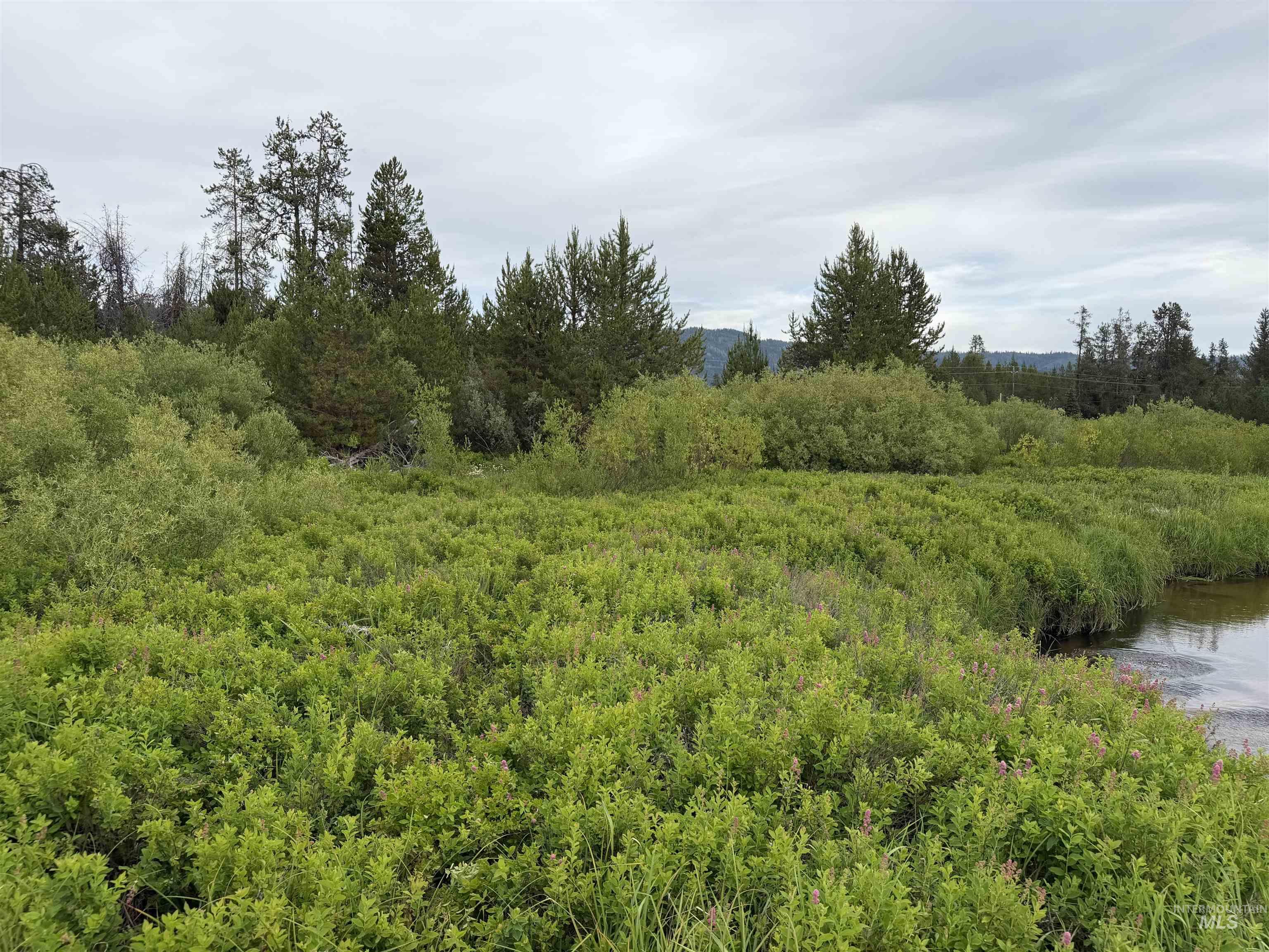 10741 Highway 55, Cascade, Idaho 83611, Land For Sale, Price $250,000,MLS 98995476