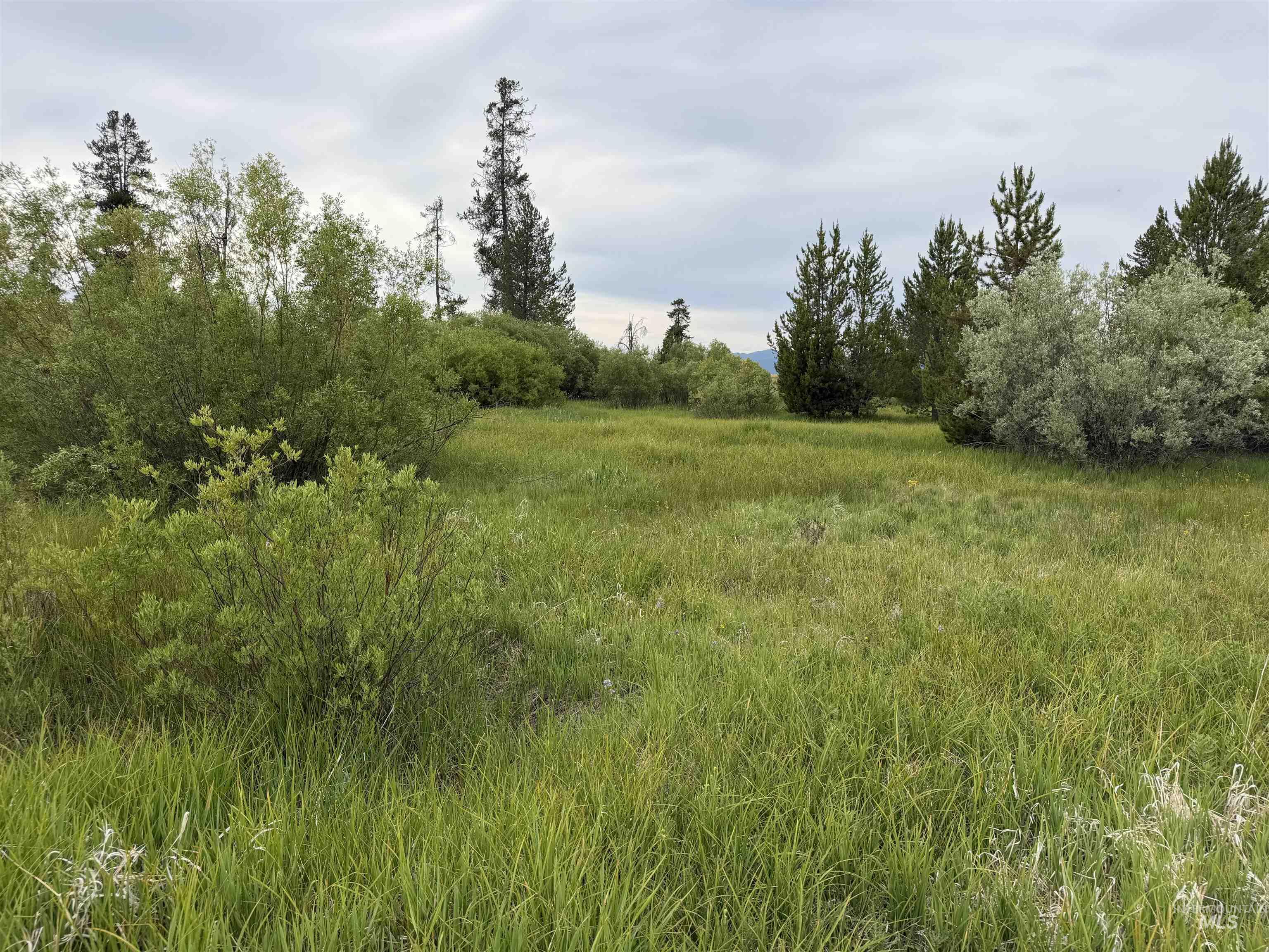 10741 Highway 55, Cascade, Idaho 83611, Land For Sale, Price $250,000,MLS 98995476