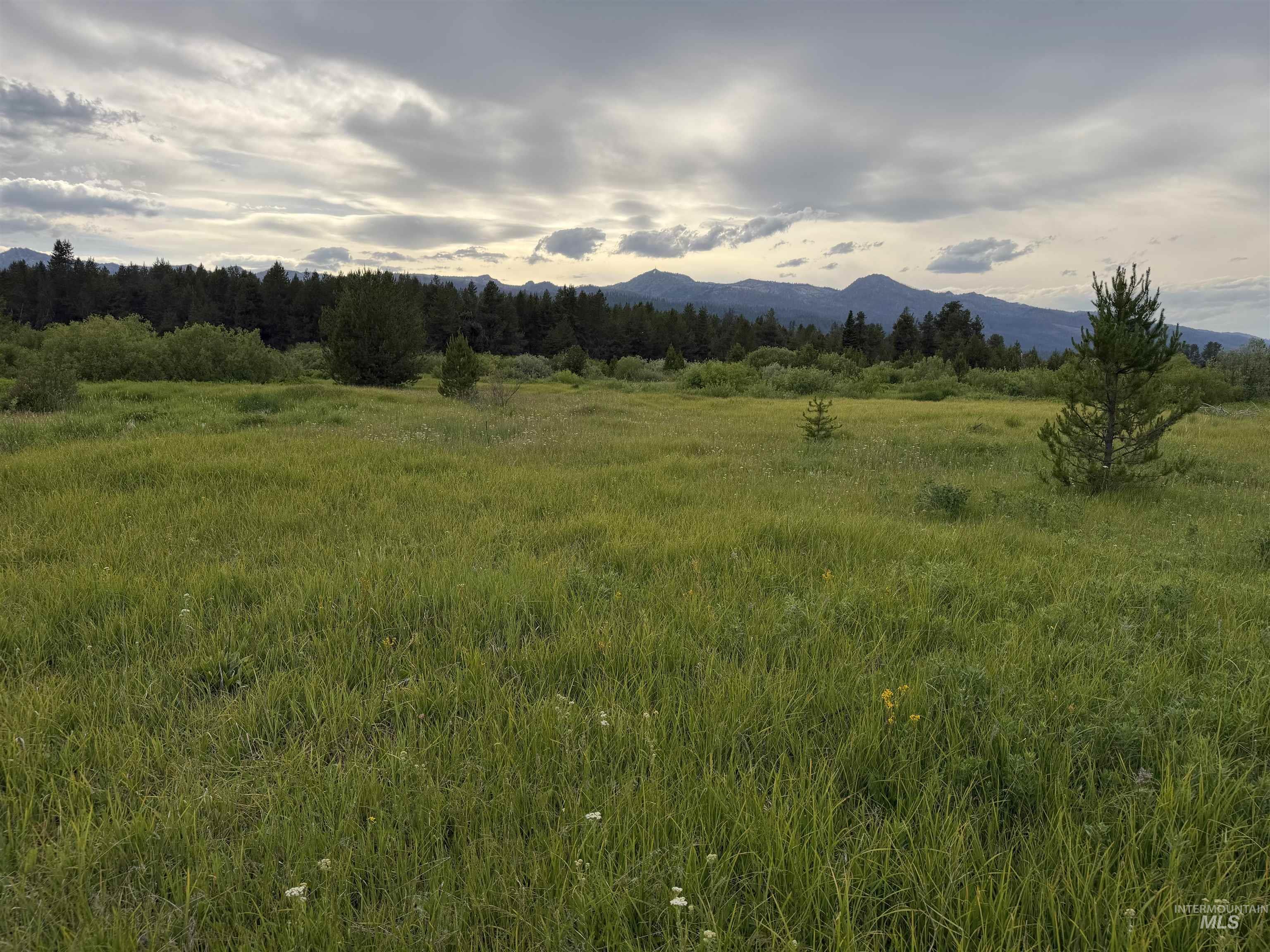 10741 Highway 55, Cascade, Idaho 83611, Land For Sale, Price $250,000,MLS 98995476
