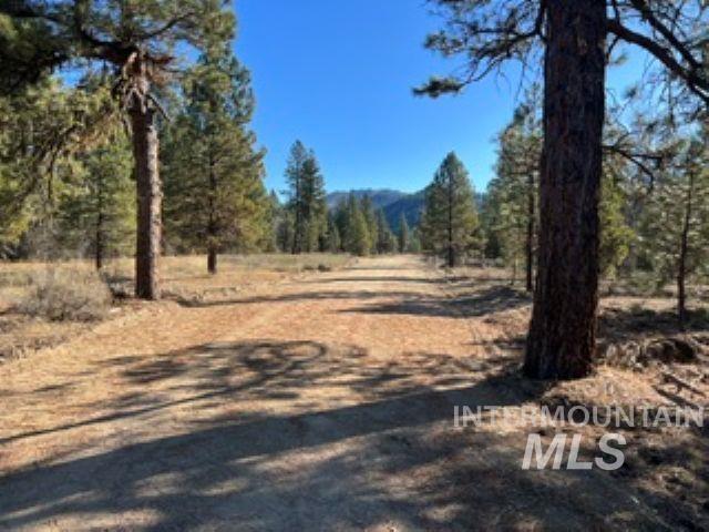 TBD Wilderness Ln, Featherville, Idaho 83647, Land For Sale, Price $465,000, 98995512
